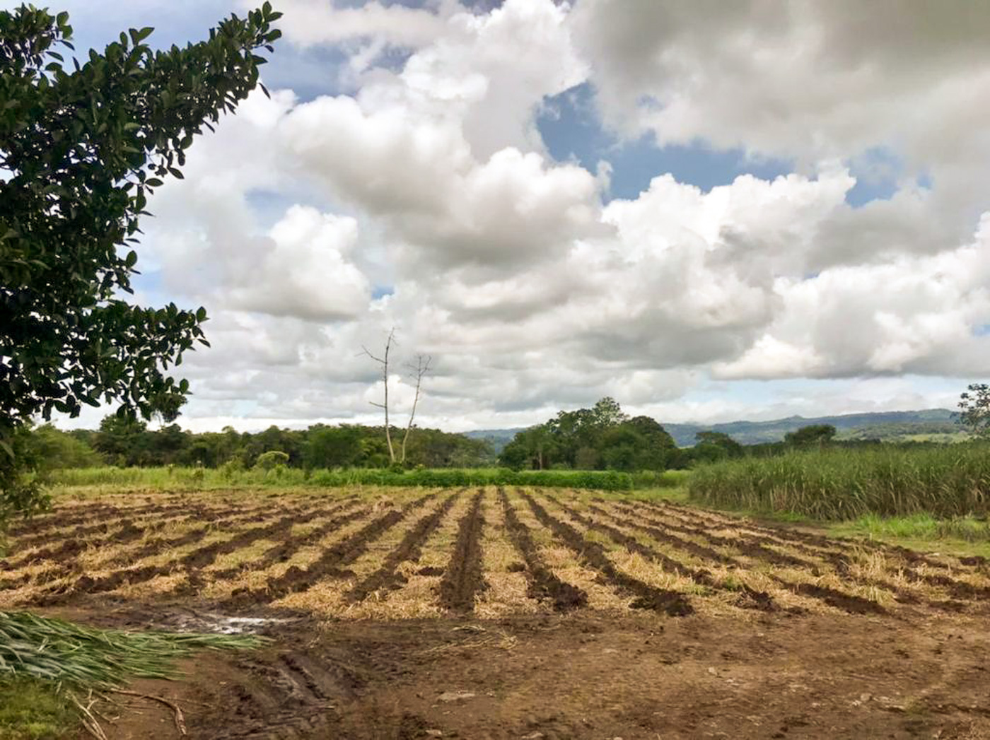 1 bed Land For Sale in Perez Zeledon, Puntarenas - thumb 8