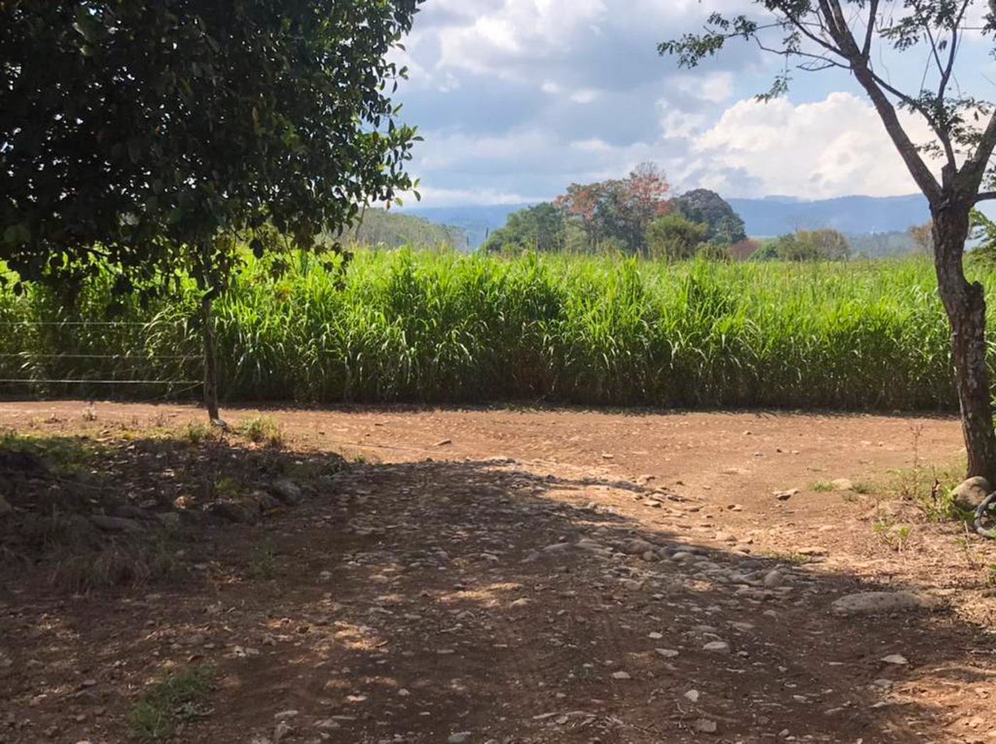 1 bed Land For Sale in Perez Zeledon, Puntarenas - thumb 13