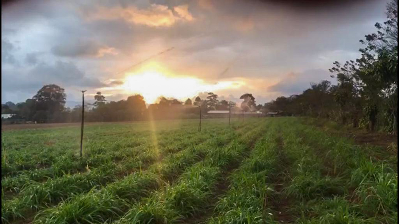 1 bed Land For Sale in Perez Zeledon, Puntarenas - thumb 25