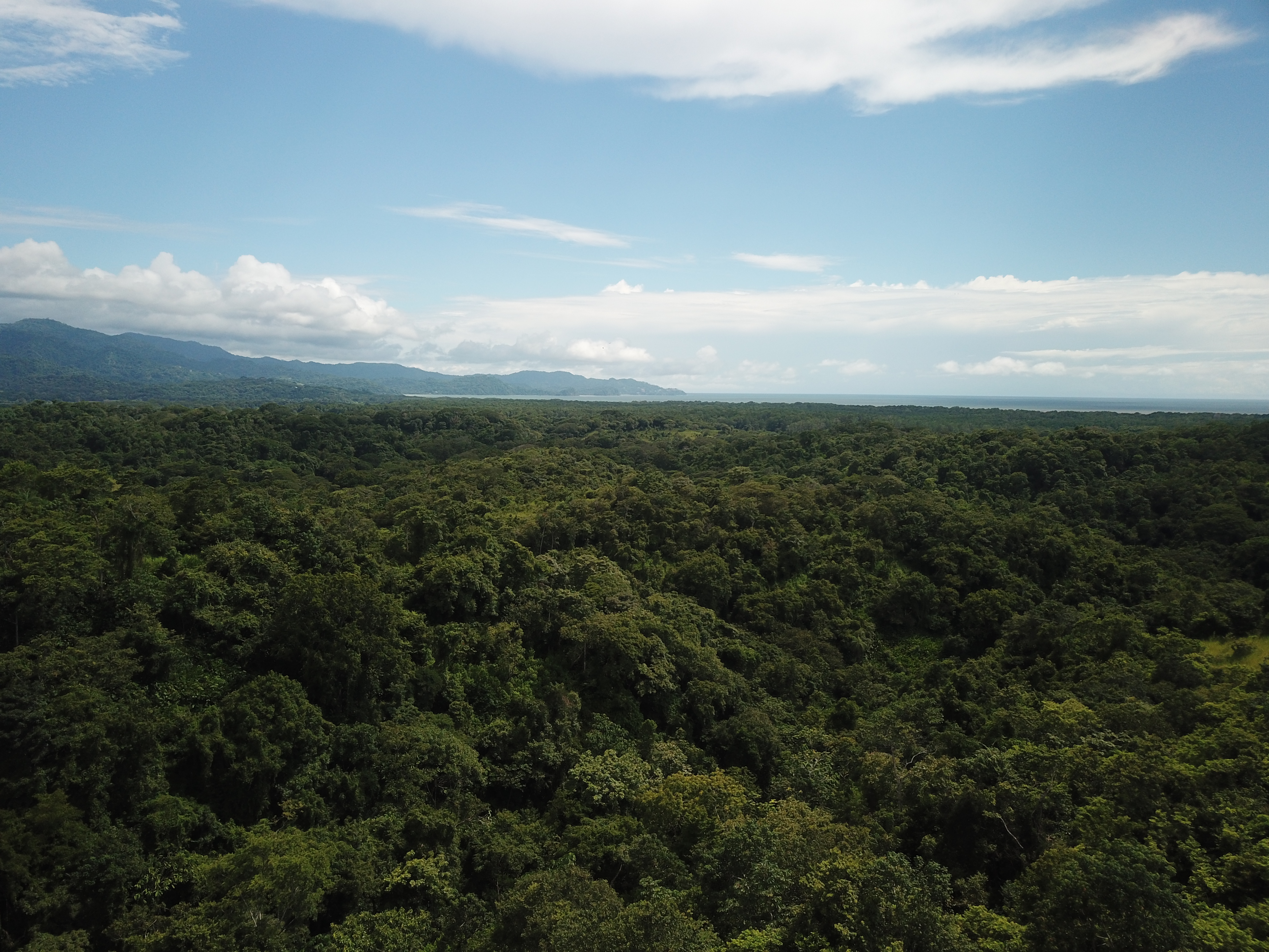 6 bed Single Family Homes For Sale in Tarcoles, Puntarenas - thumb 2