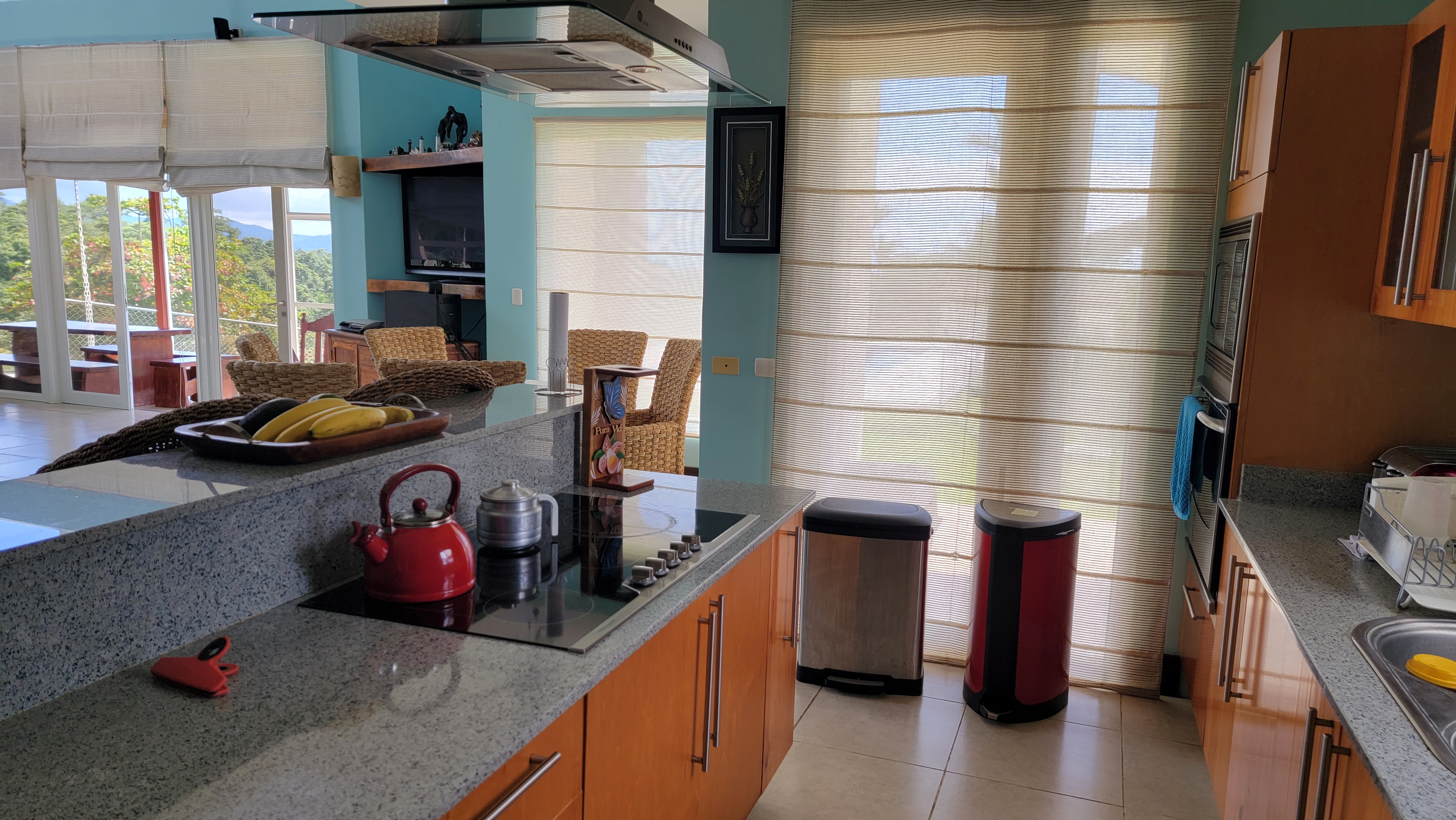 6 bed Single Family Homes For Sale in Tarcoles, Puntarenas - thumb 6