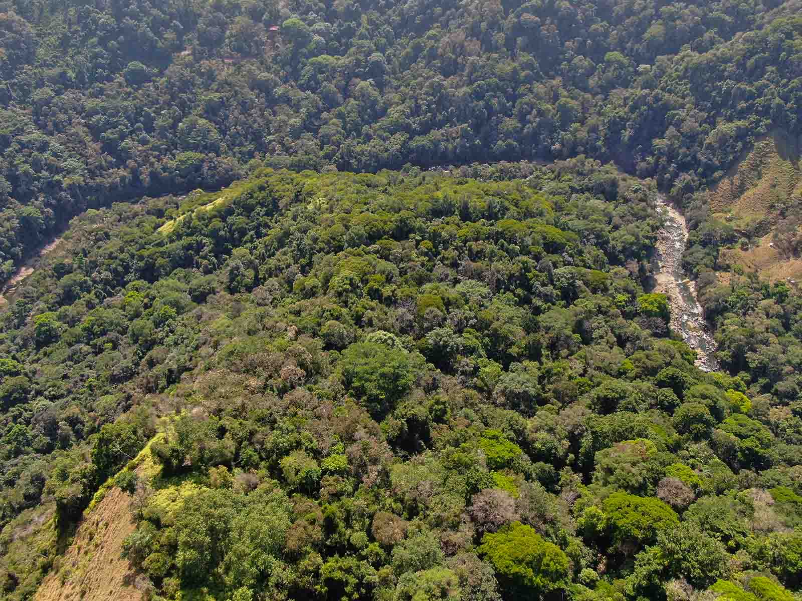 0 bed Land For Sale in Dominical, Puntarenas - thumb 3