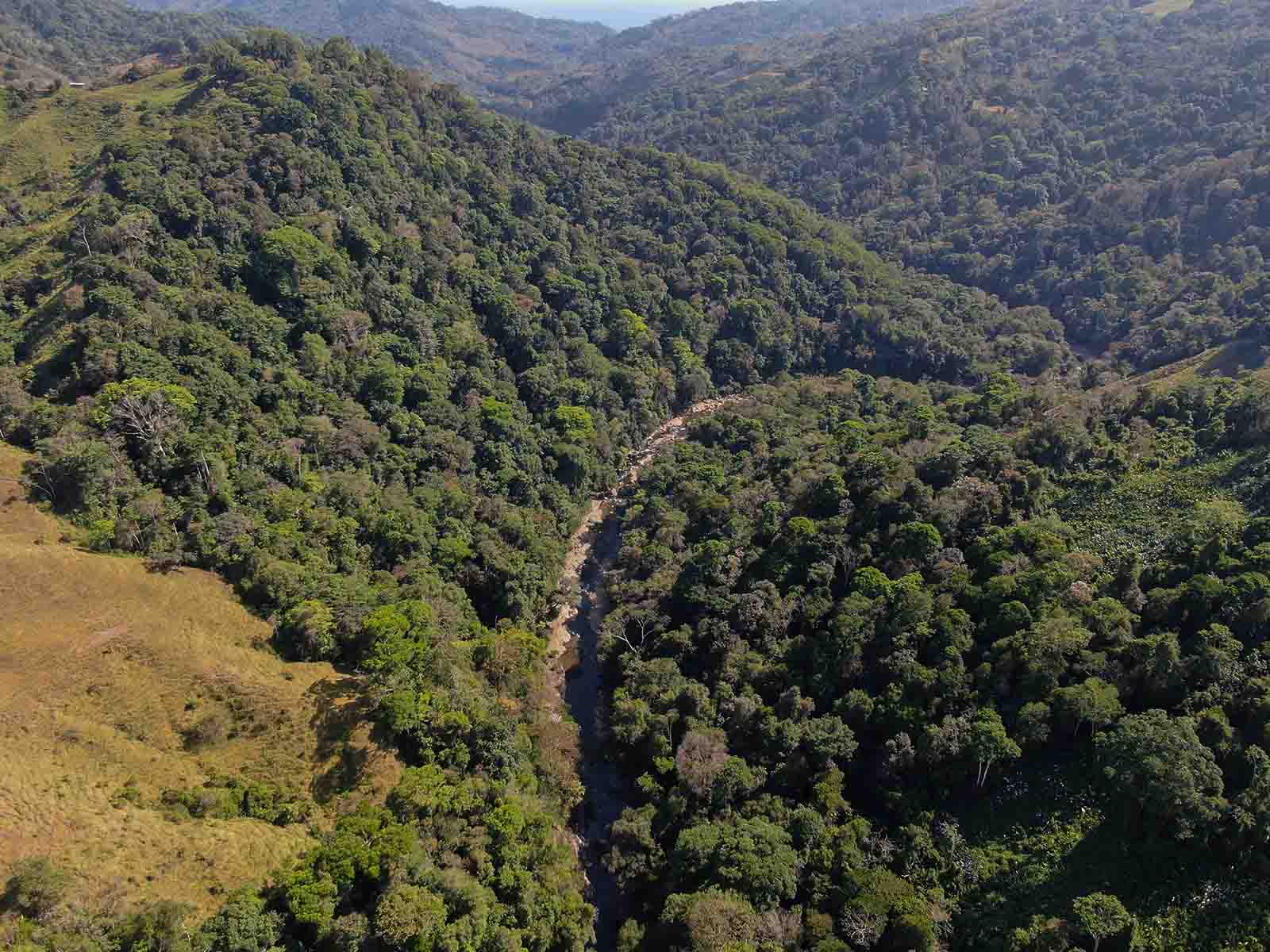 0 bed Land For Sale in Dominical, Puntarenas - thumb 6