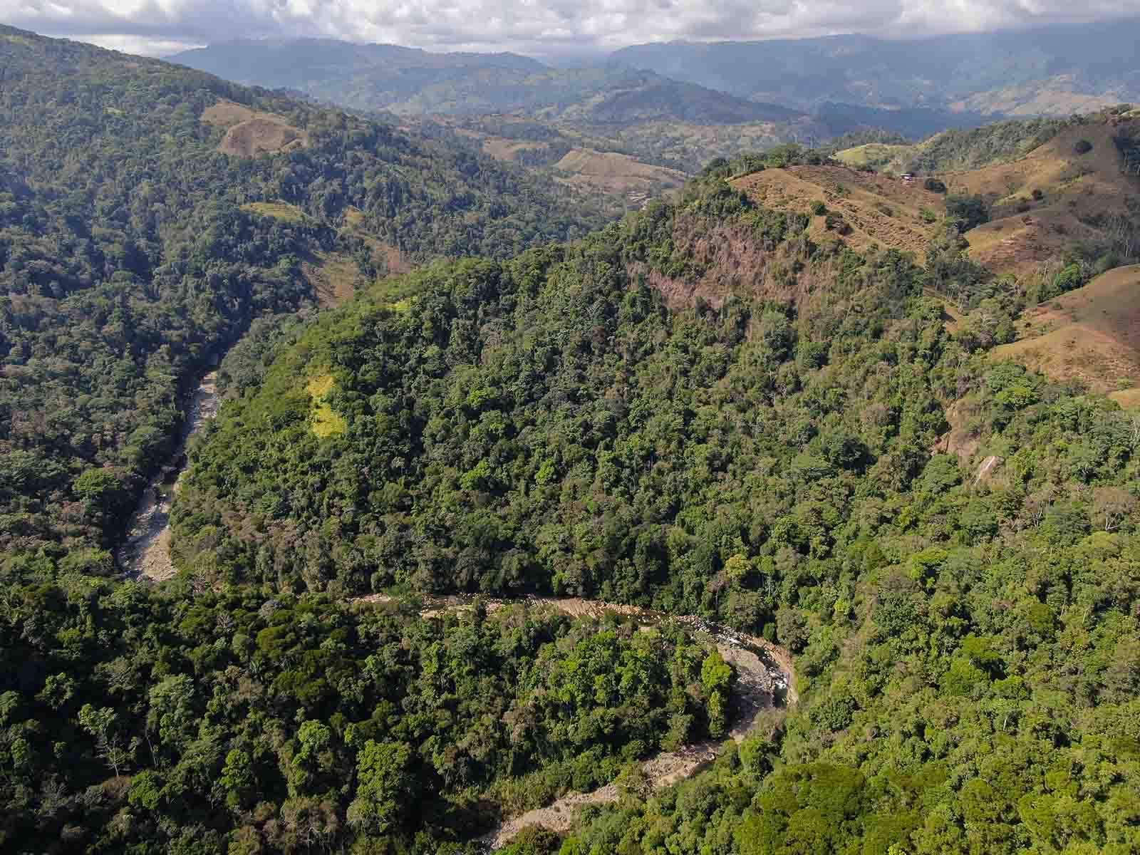 0 bed Land For Sale in Dominical, Puntarenas - thumb 1