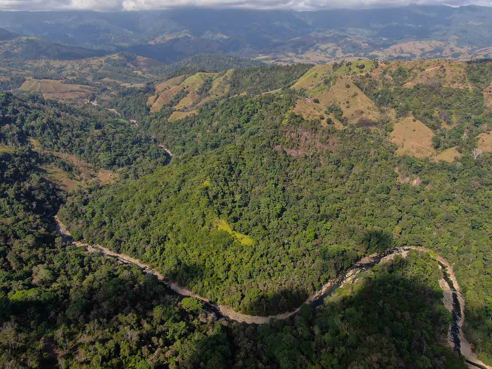 0 bed Land For Sale in Dominical, Puntarenas - thumb 9