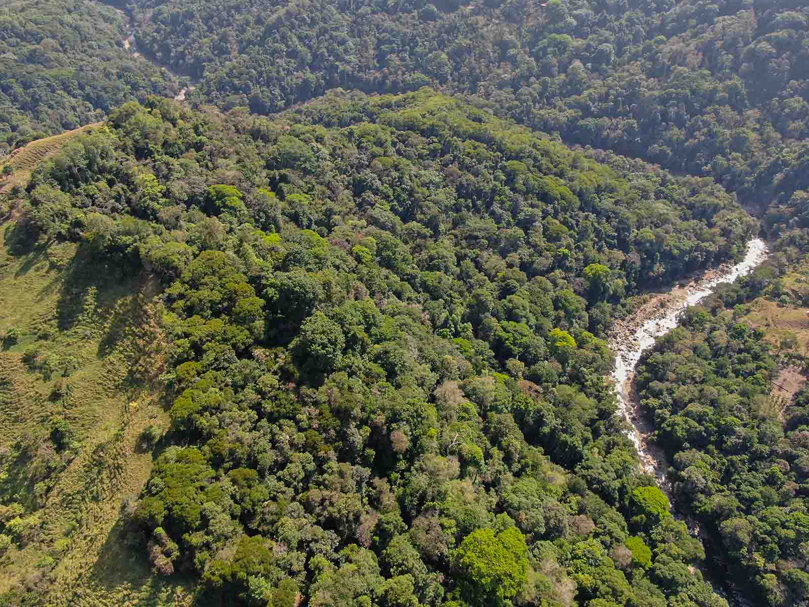 0 bed Land For Sale in Dominical, Puntarenas - thumb 4