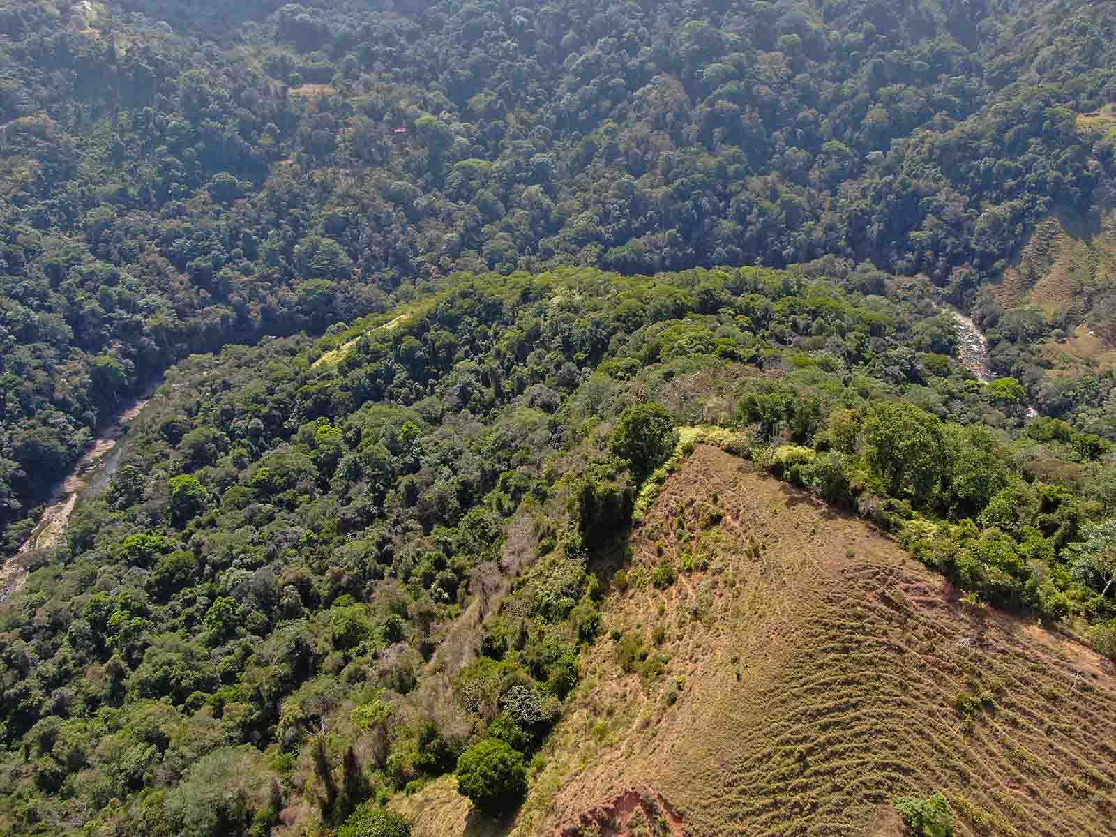 0 bed Land For Sale in Dominical, Puntarenas - thumb 2