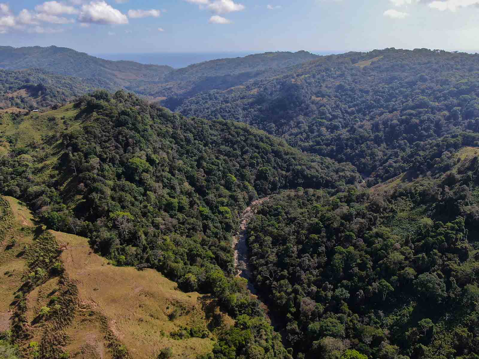 0 bed Land For Sale in Dominical, Puntarenas - thumb 5