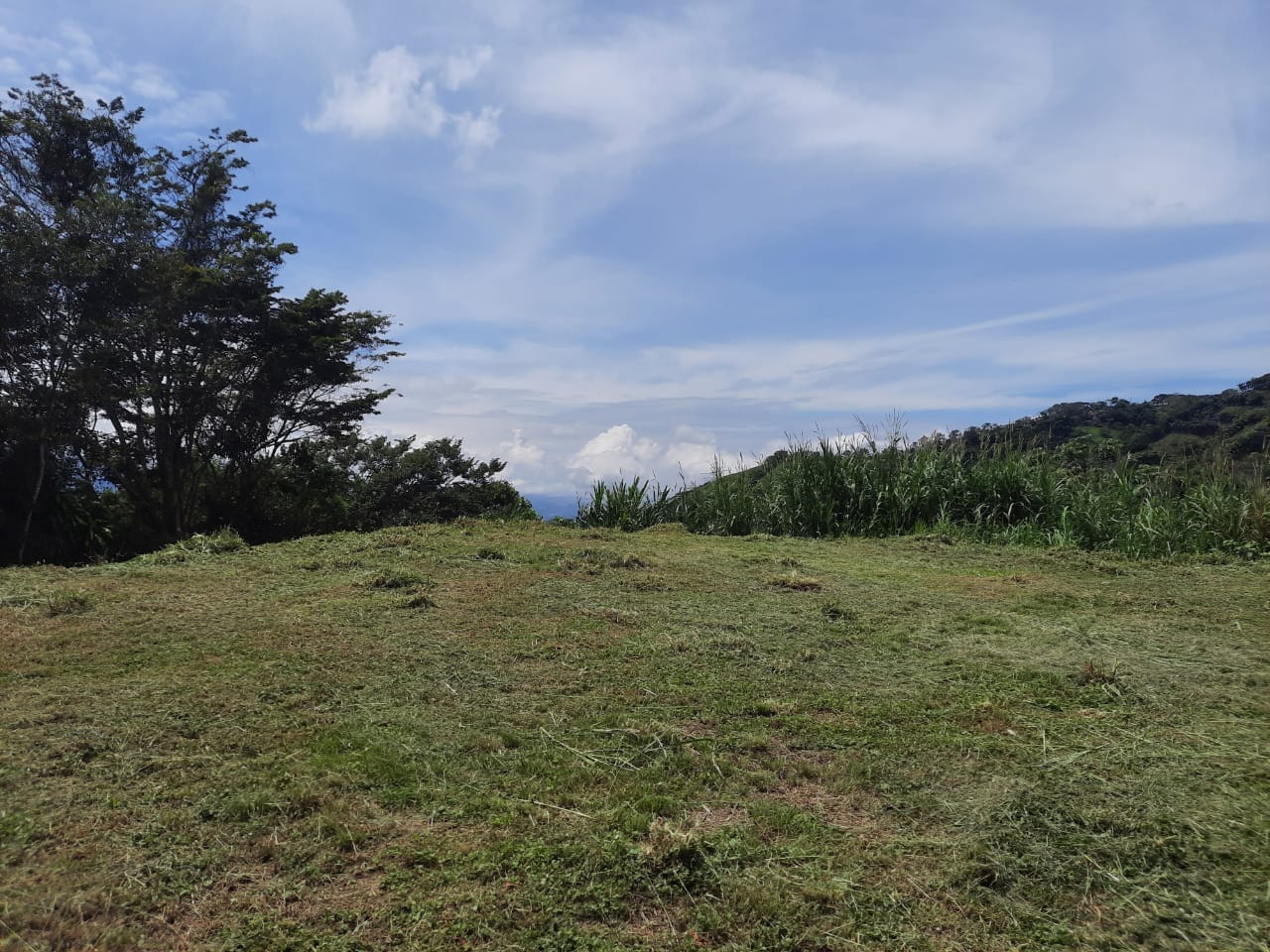 0 bed Land For Sale in Atenas, Alajuela - thumb 2
