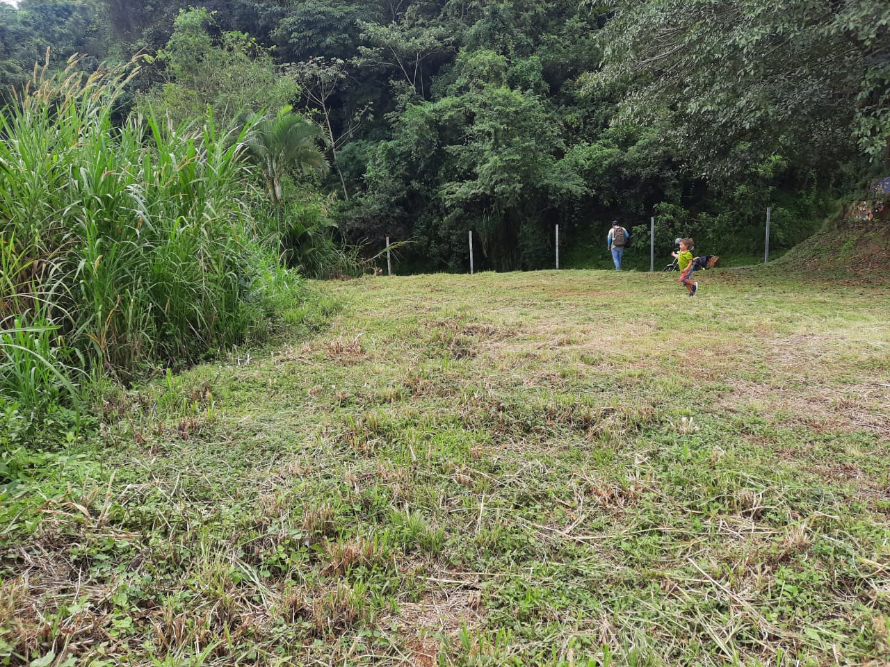 0 bed Land For Sale in Atenas, Alajuela - thumb 5