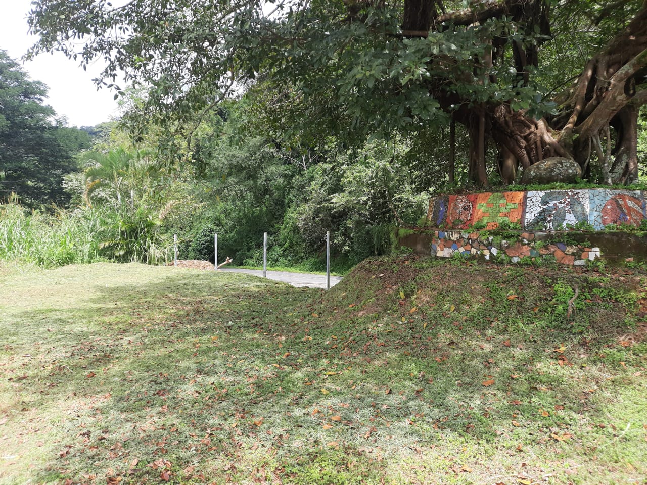 0 bed Land For Sale in Atenas, Alajuela - thumb 3