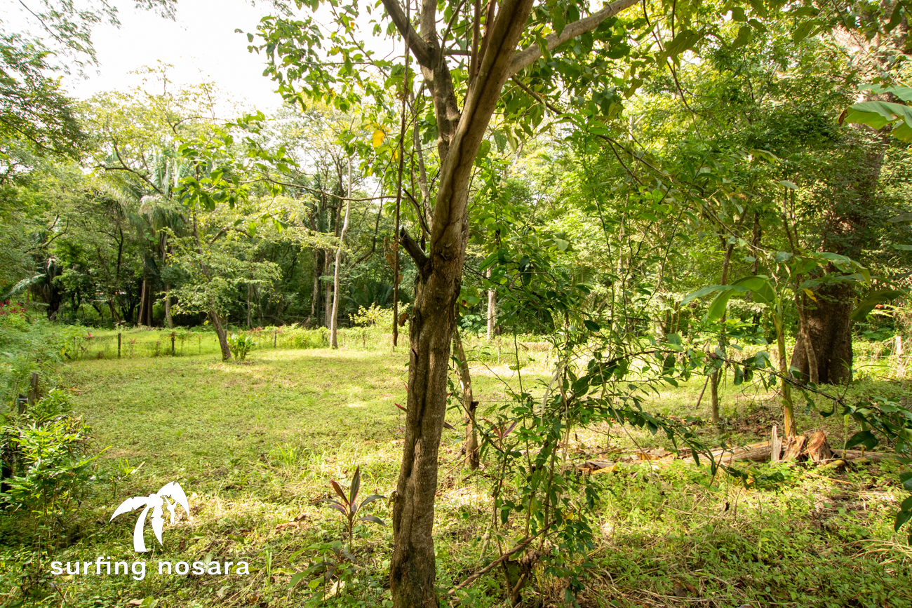 0 bed Land For Sale in Playa Guiones, Guanacaste - thumb 3