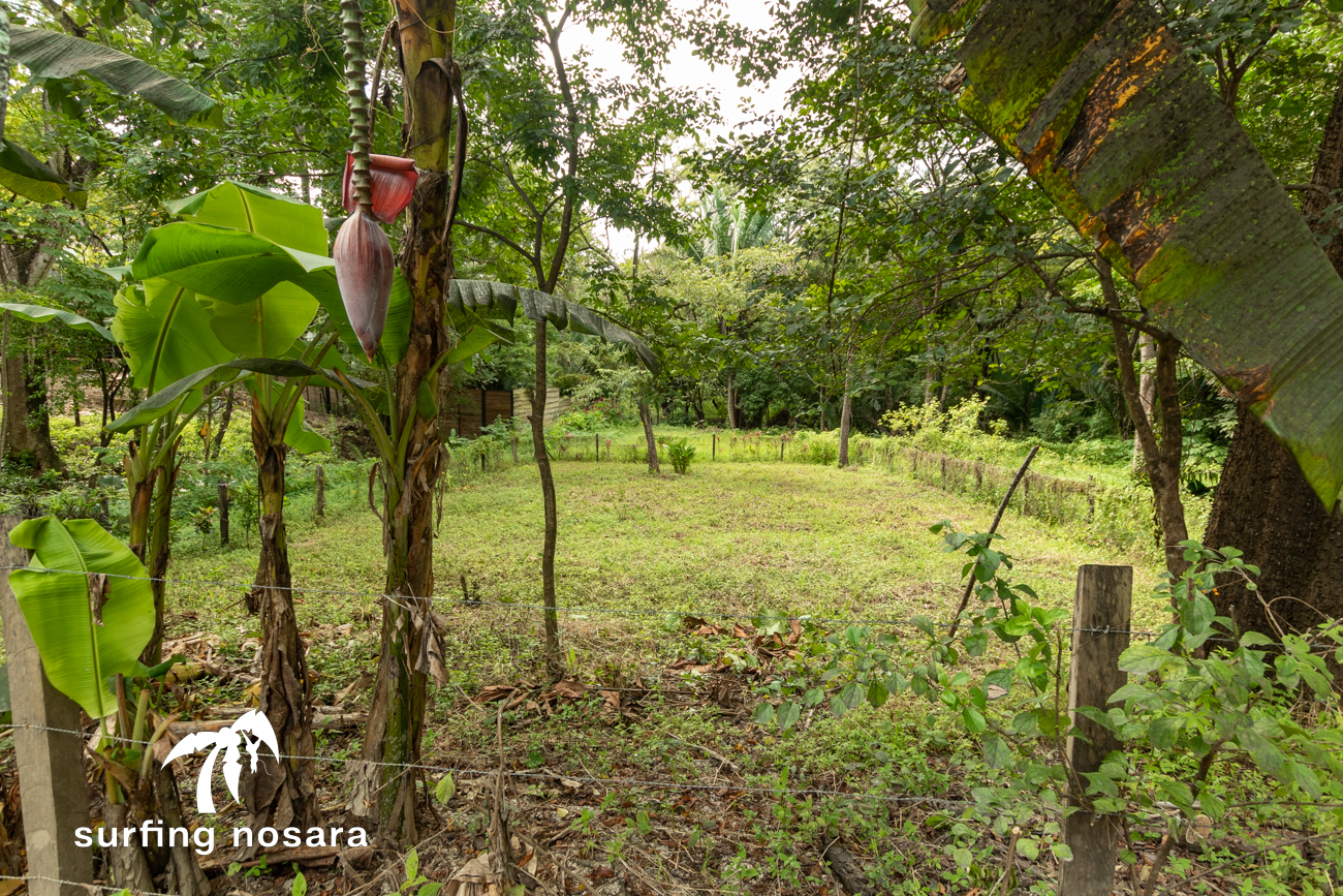 0 bed Land For Sale in Playa Guiones, Guanacaste - thumb 1