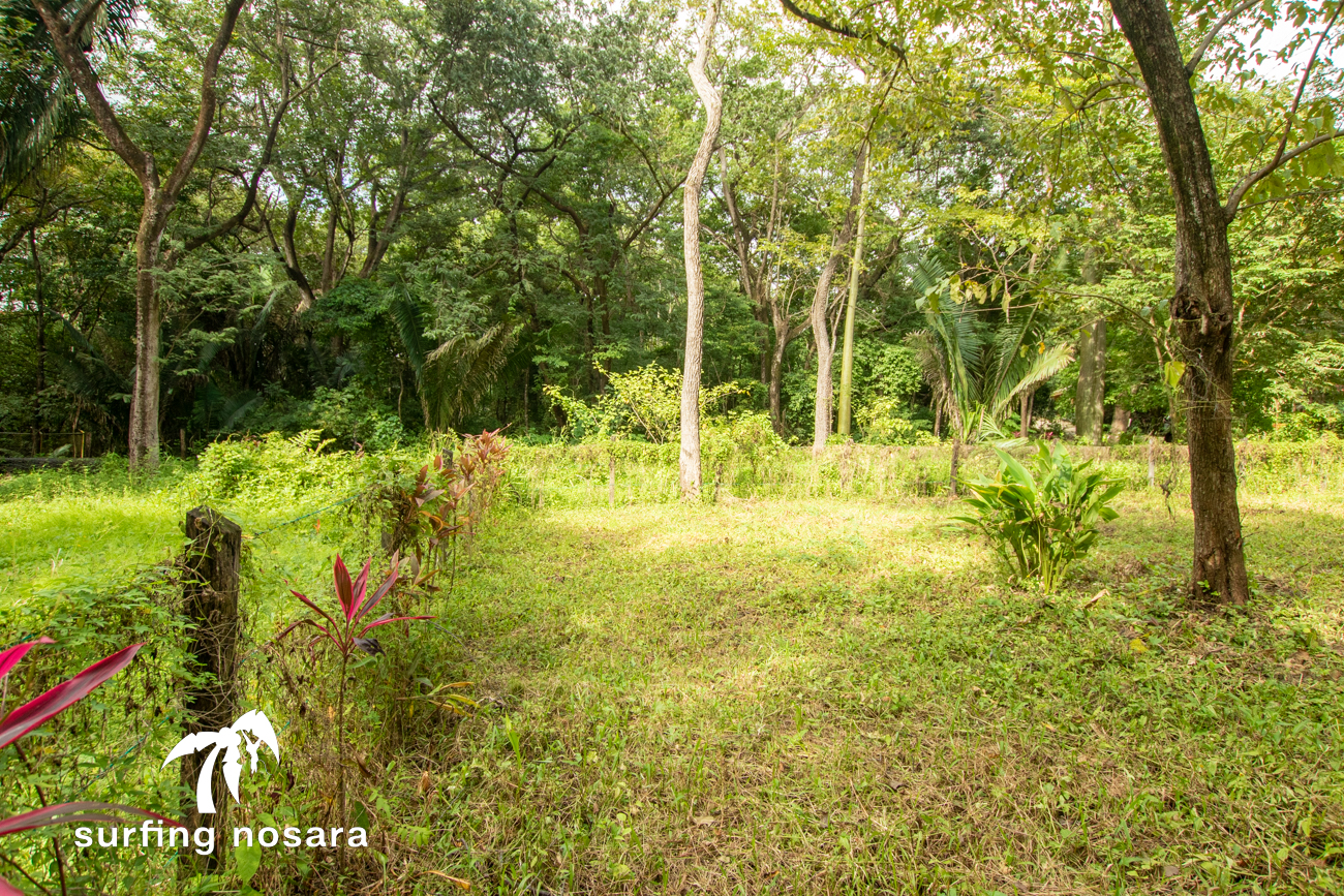0 bed Land For Sale in Playa Guiones, Guanacaste - thumb 4