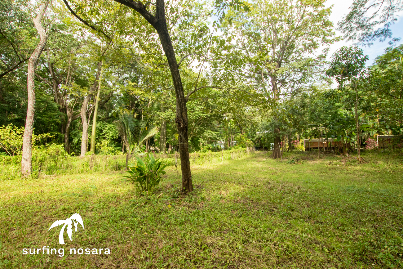 0 bed Land For Sale in Playa Guiones, Guanacaste - thumb 5