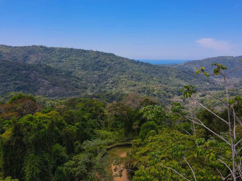 0 bed Land For Sale in Dominical, Puntarenas - thumb 3