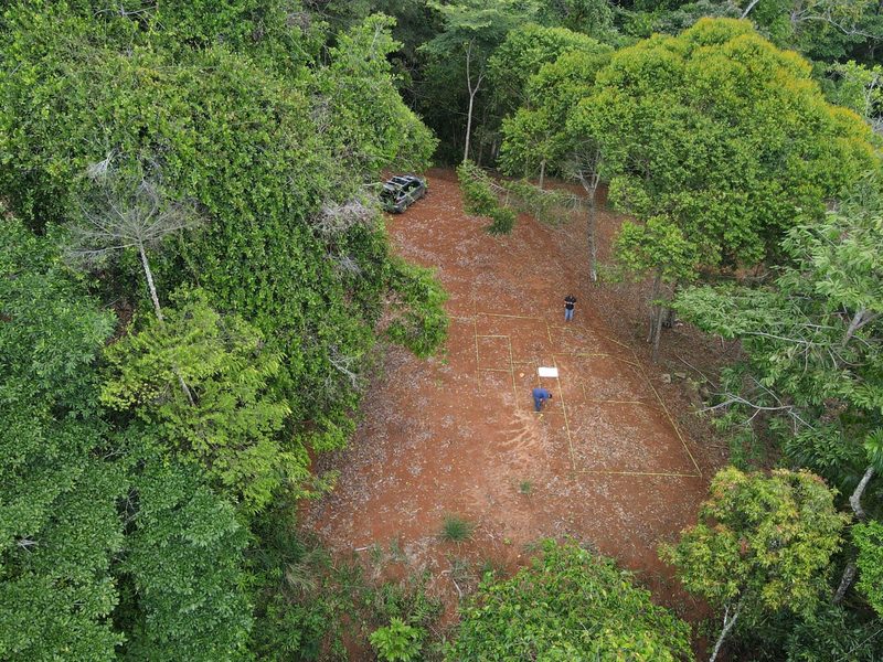 0 bed Land For Sale in Dominical, Puntarenas - thumb 6