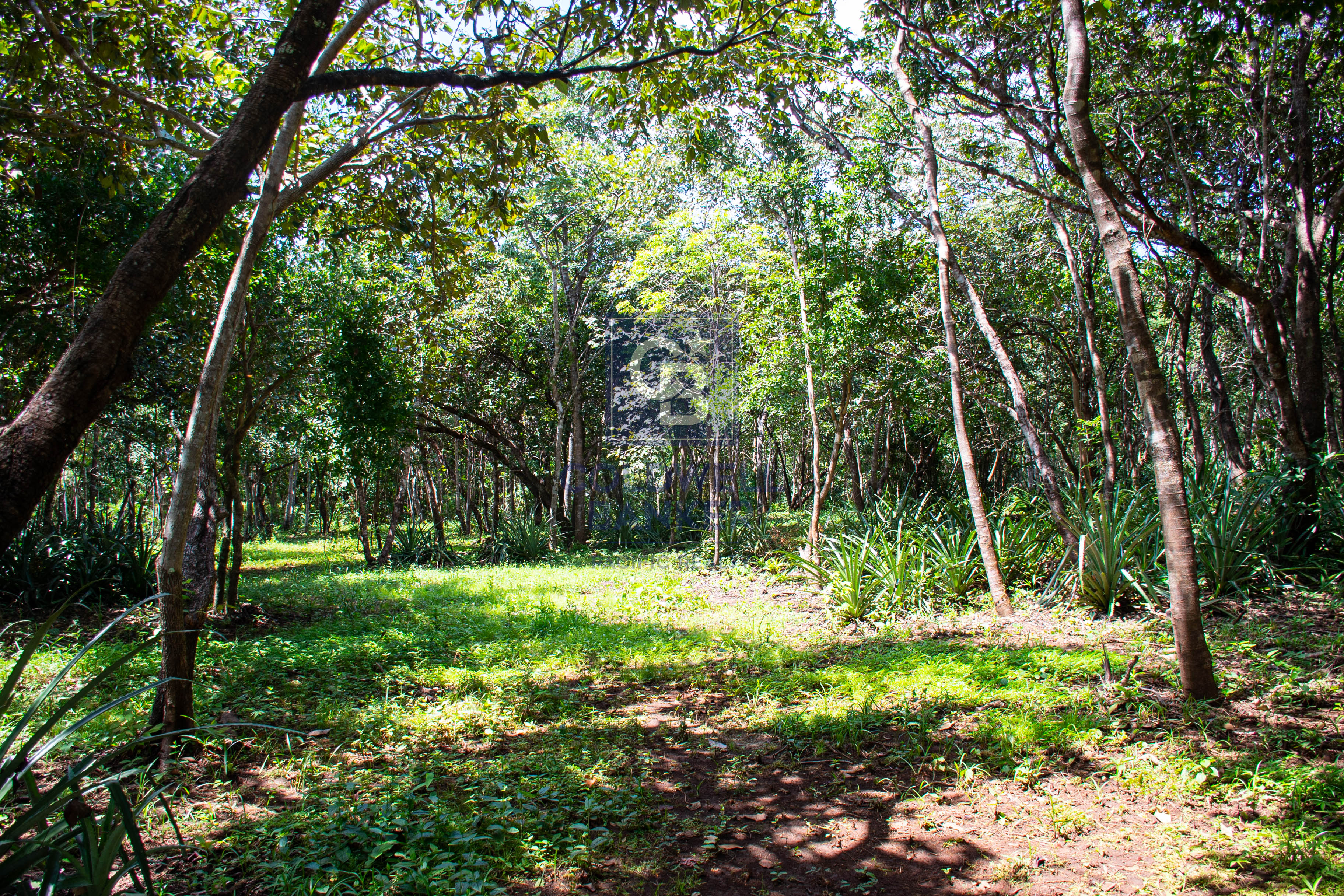 0 bed Land For Sale in Playa Negra, Guanacaste - thumb 1