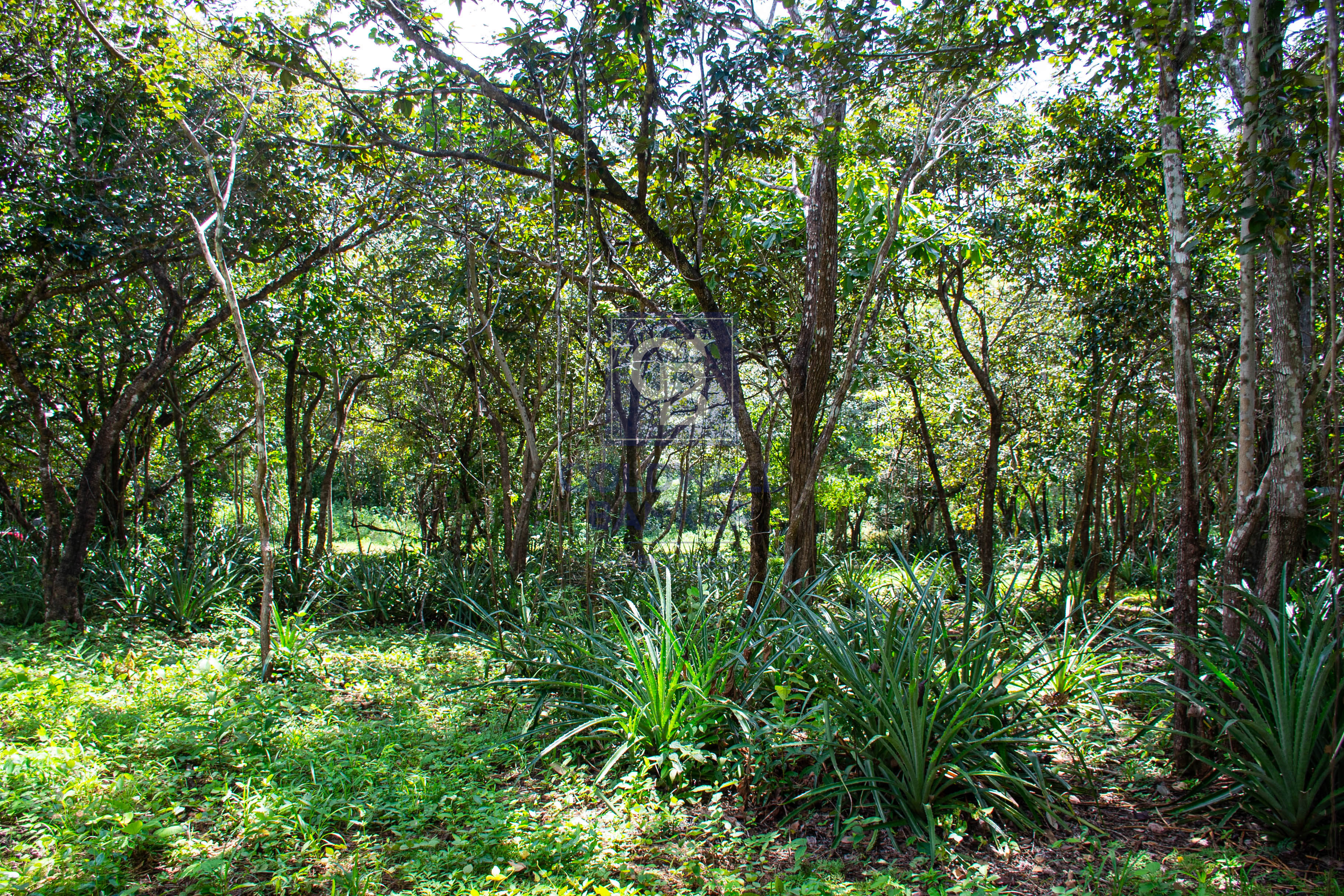 0 bed Land For Sale in Playa Negra, Guanacaste - thumb 3