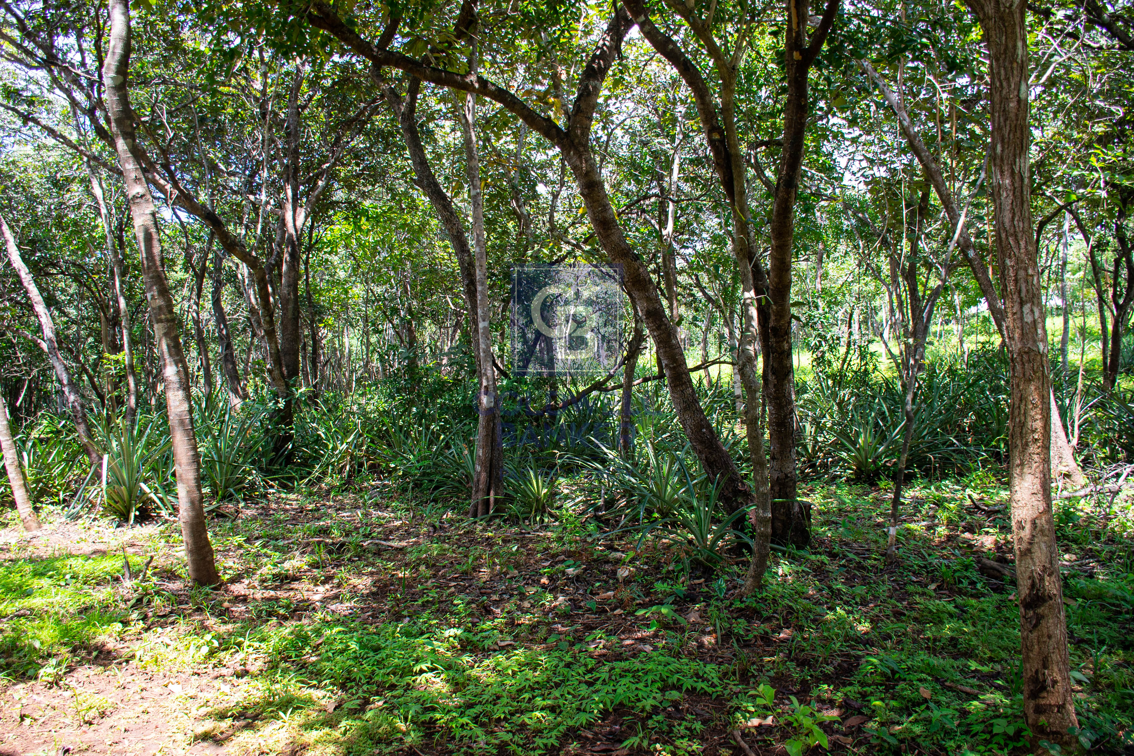 0 bed Land For Sale in Playa Negra, Guanacaste - thumb 4