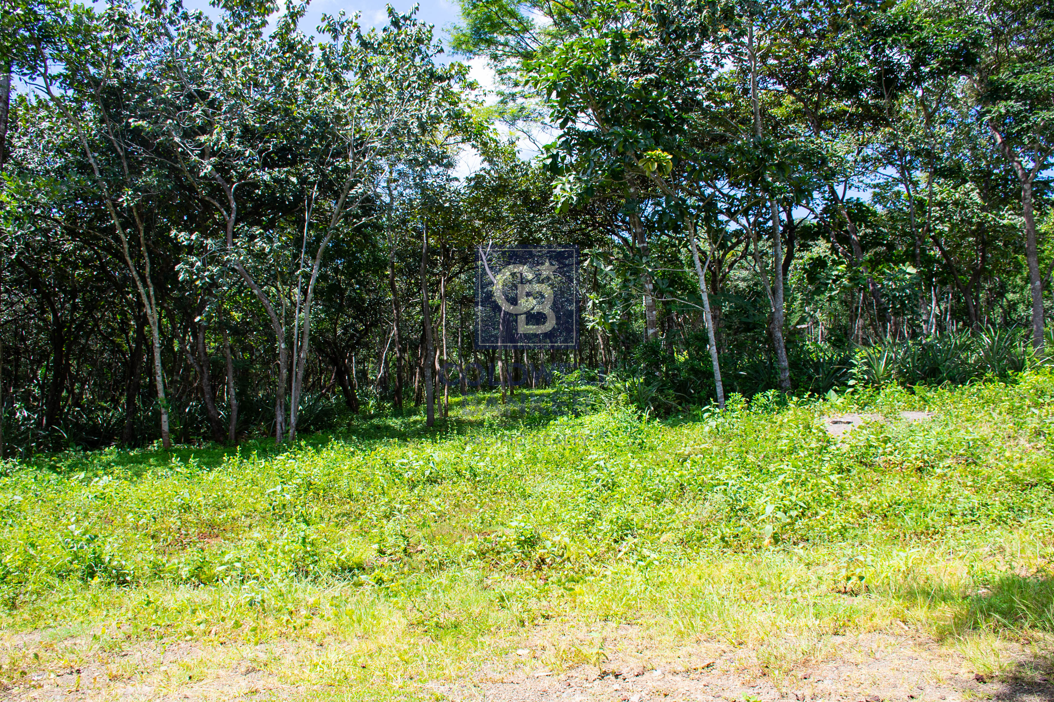 0 bed Land For Sale in Playa Negra, Guanacaste - thumb 6