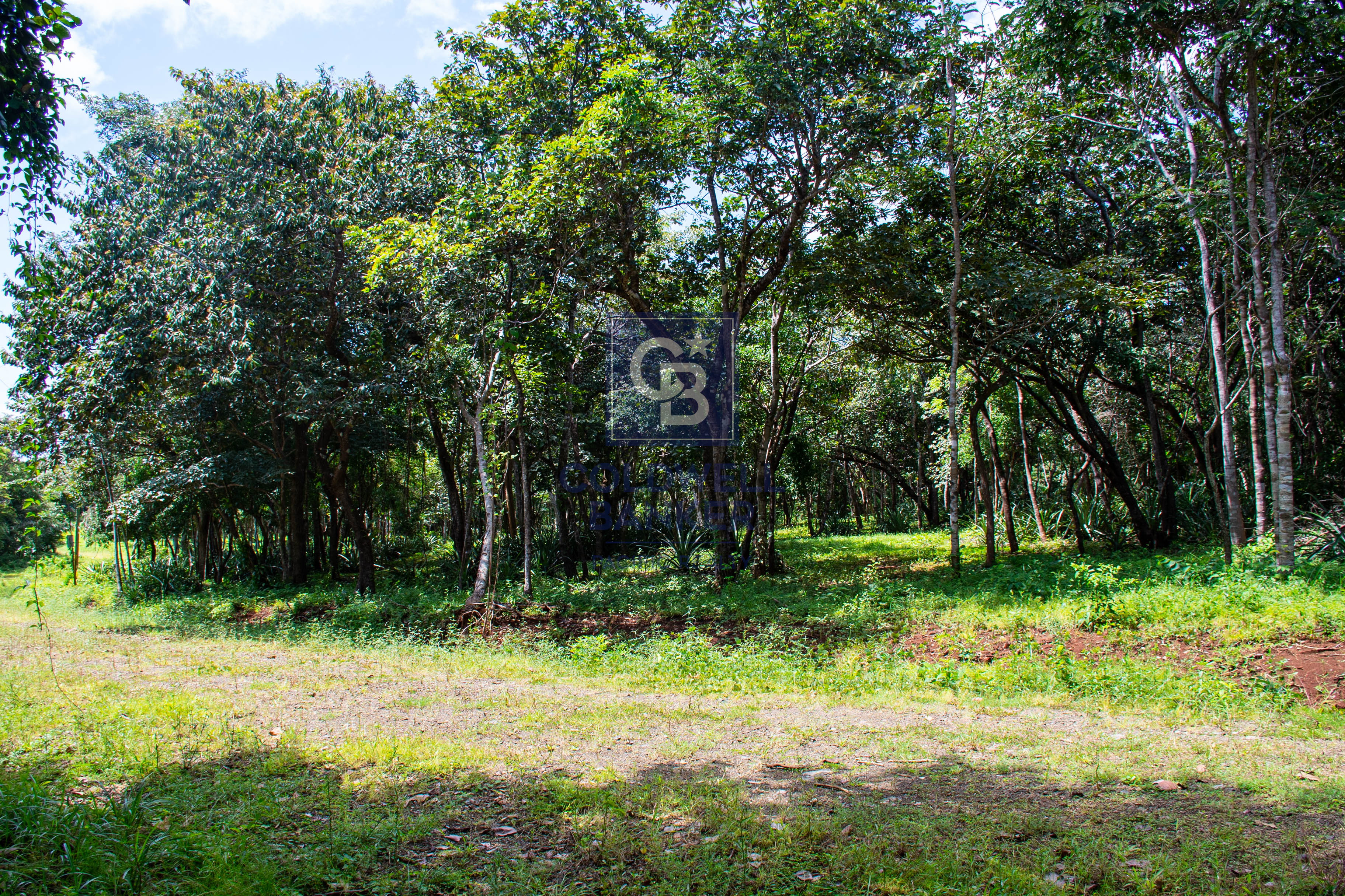 0 bed Land For Sale in Playa Negra, Guanacaste - thumb 7