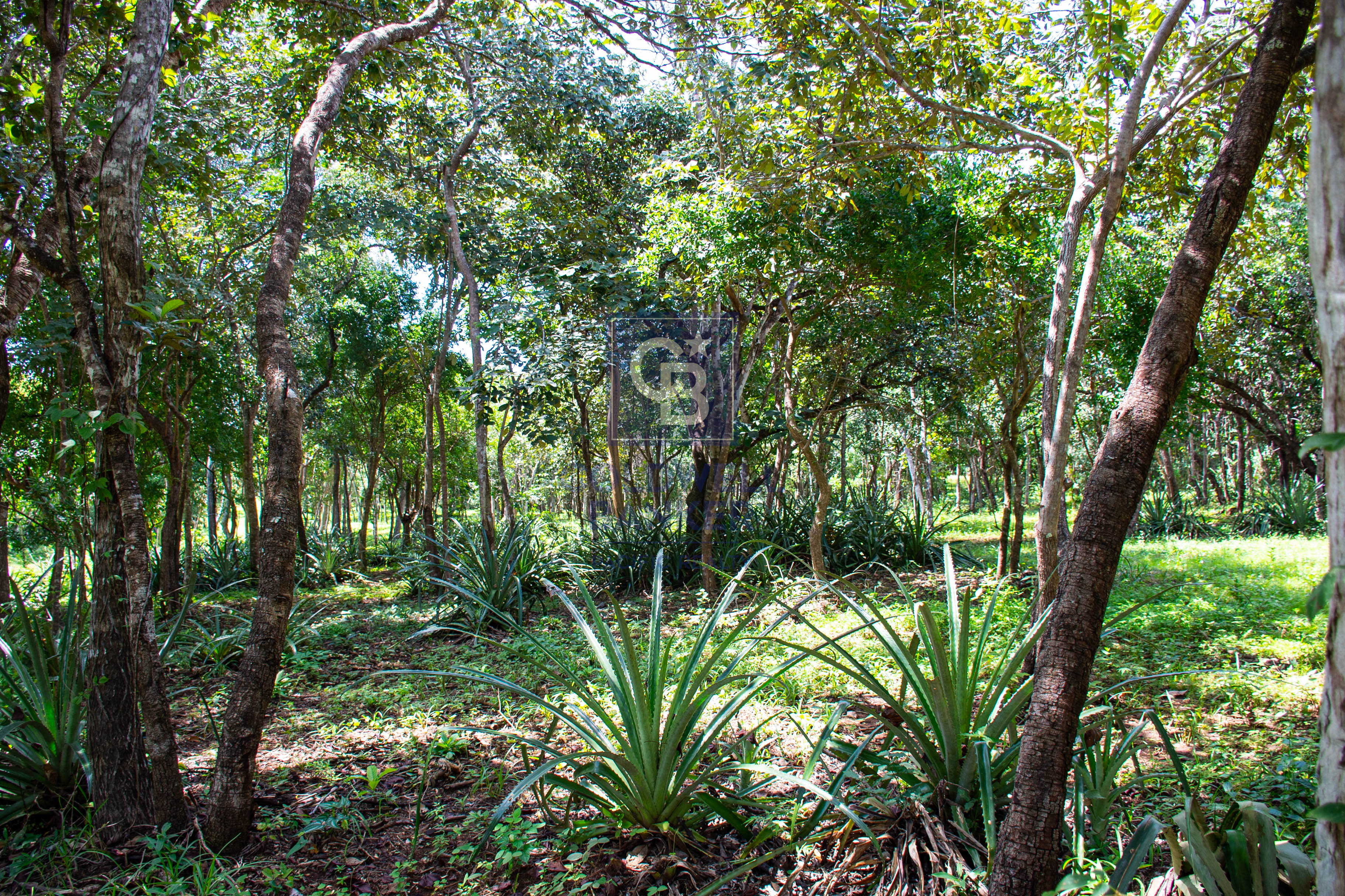 0 bed Land For Sale in Playa Negra, Guanacaste - thumb 10