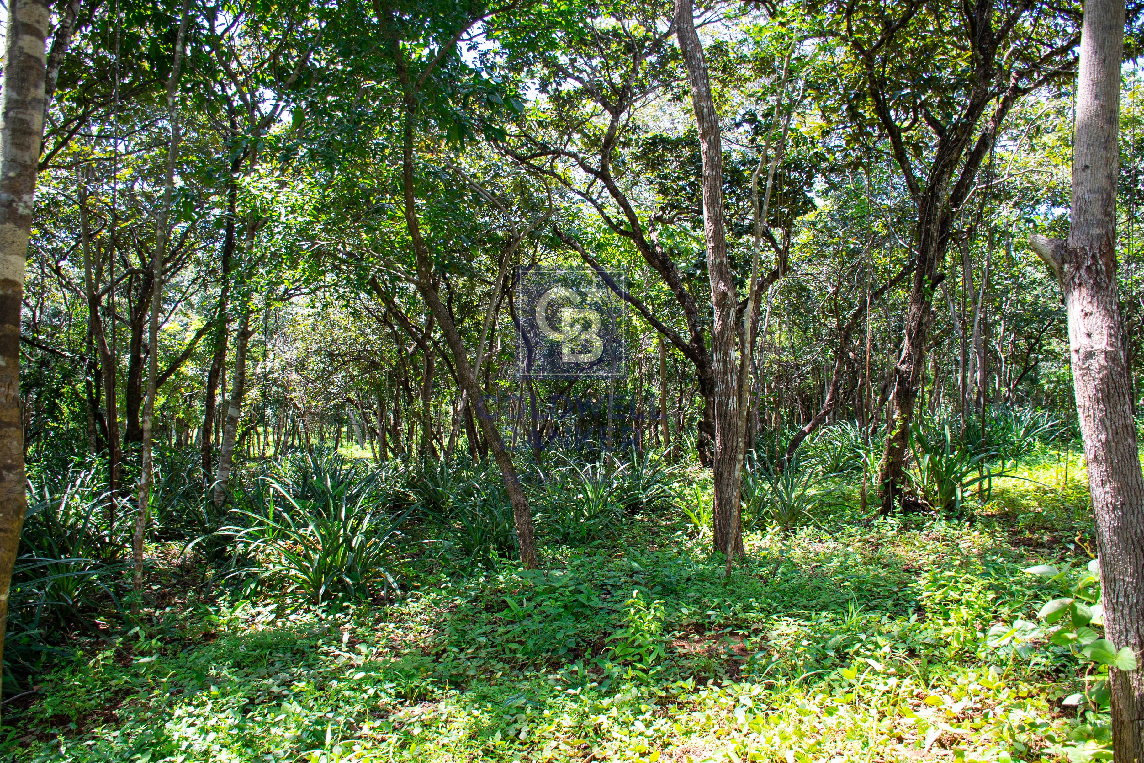 0 bed Land For Sale in Playa Negra, Guanacaste - thumb 8