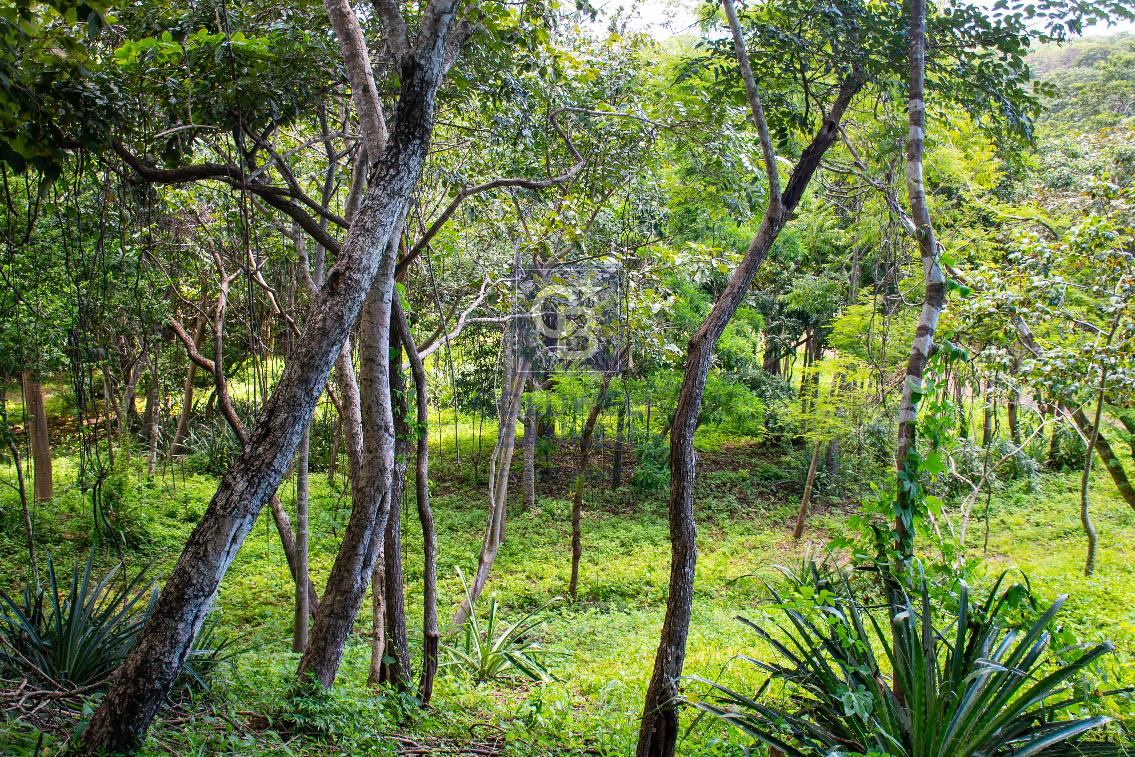 0 bed Land For Sale in Playa Negra, Guanacaste - thumb 6