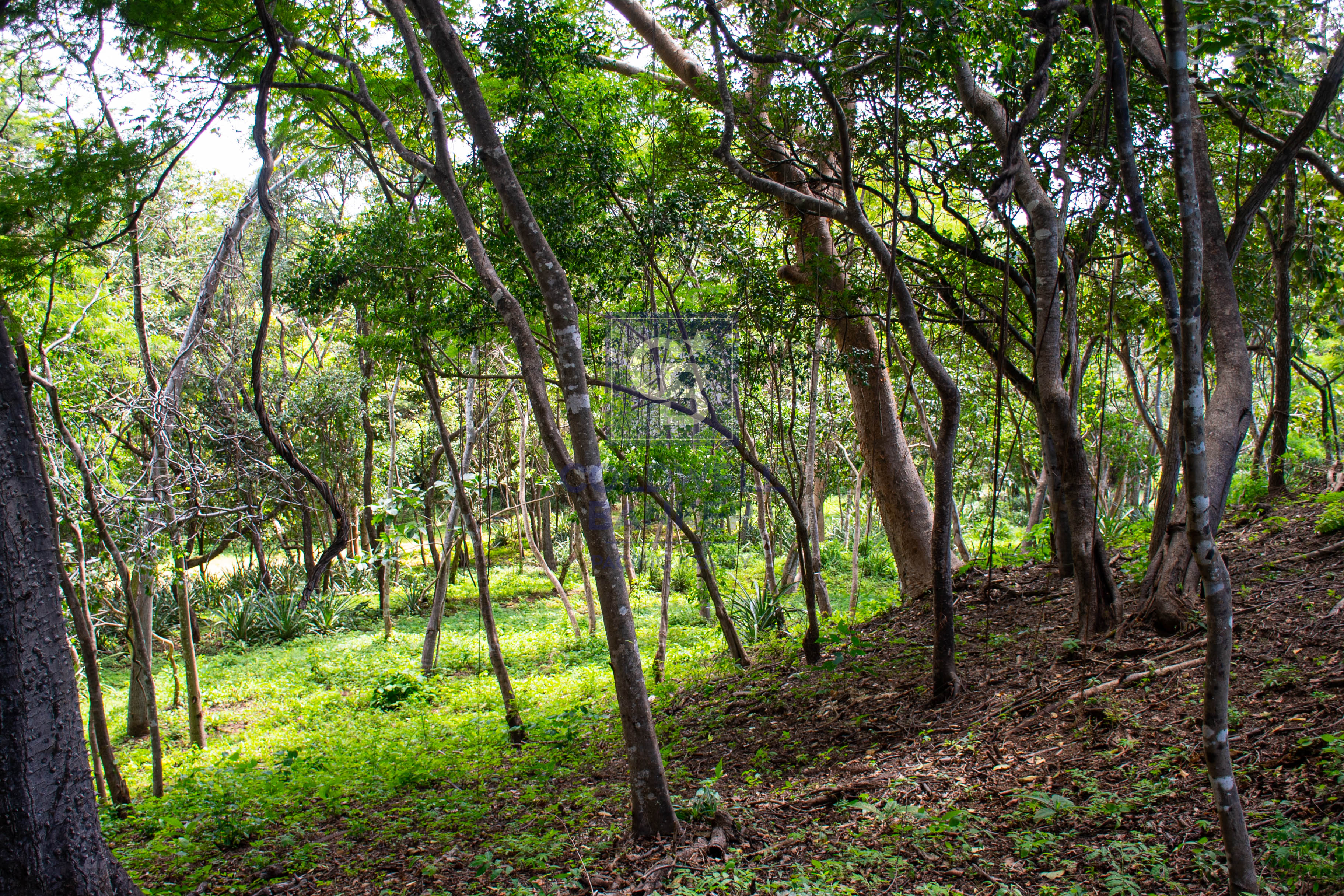 0 bed Land For Sale in Playa Negra, Guanacaste - thumb 2