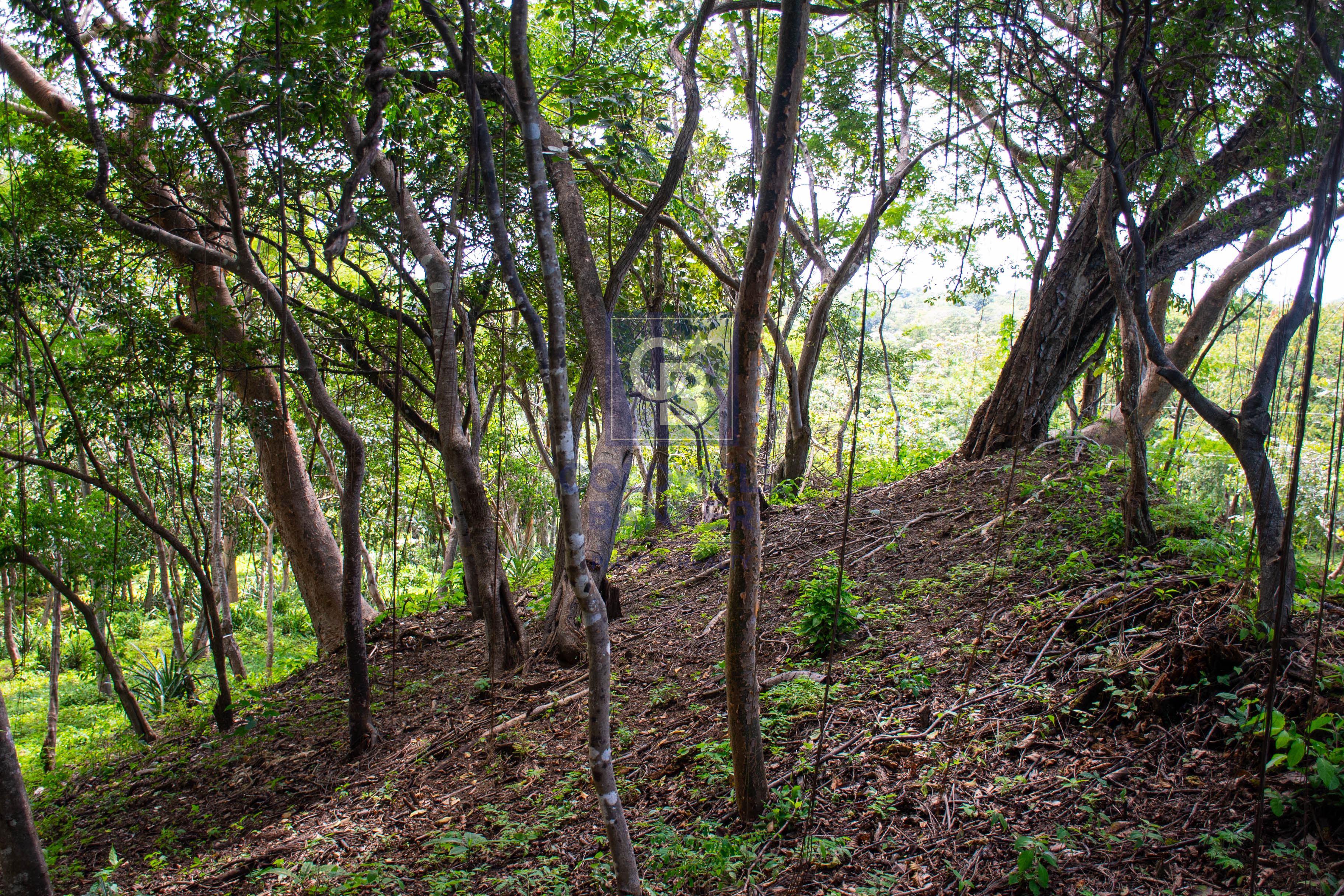 0 bed Land For Sale in Playa Negra, Guanacaste - thumb 7