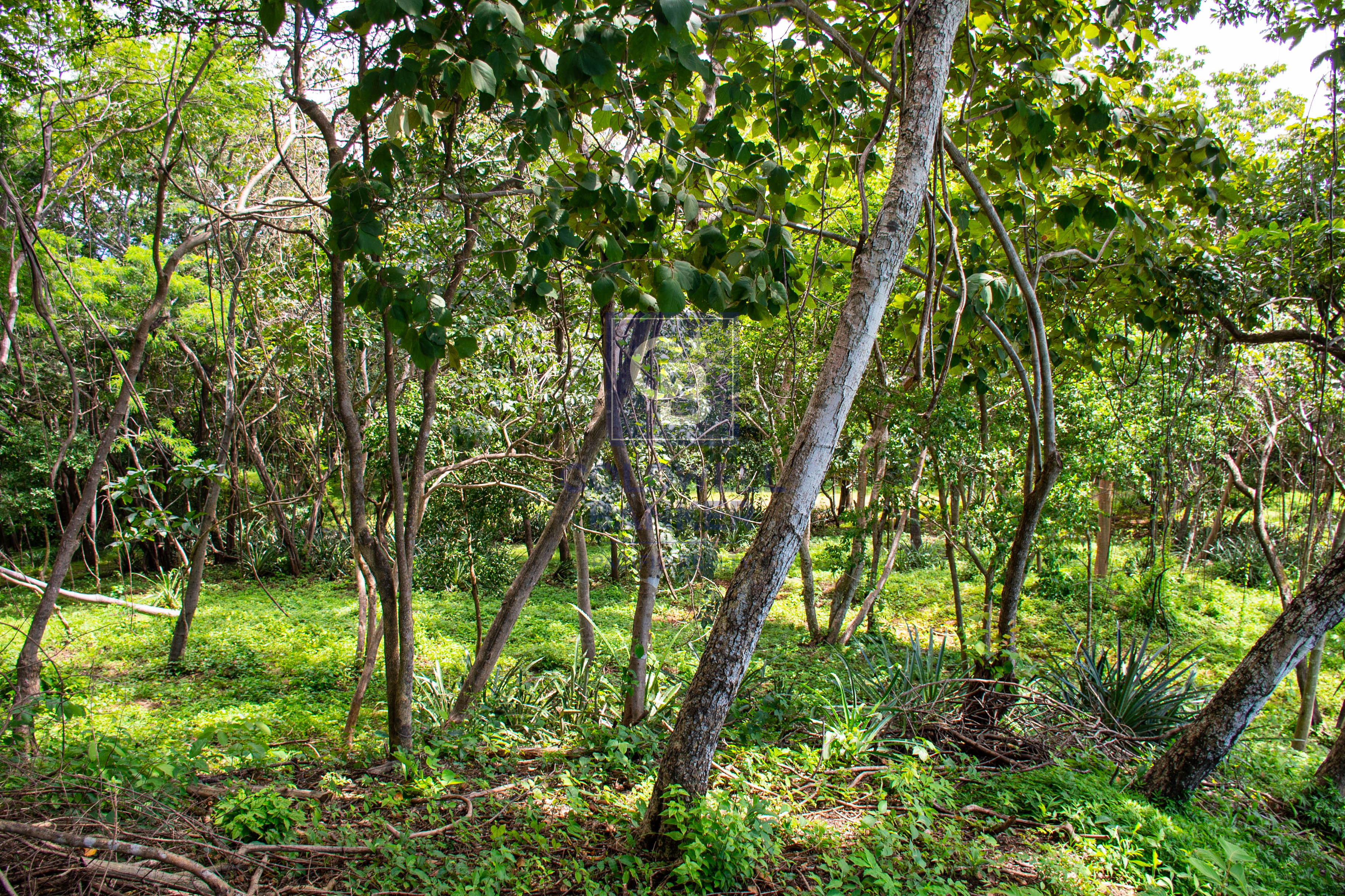 0 bed Land For Sale in Playa Negra, Guanacaste - thumb 5
