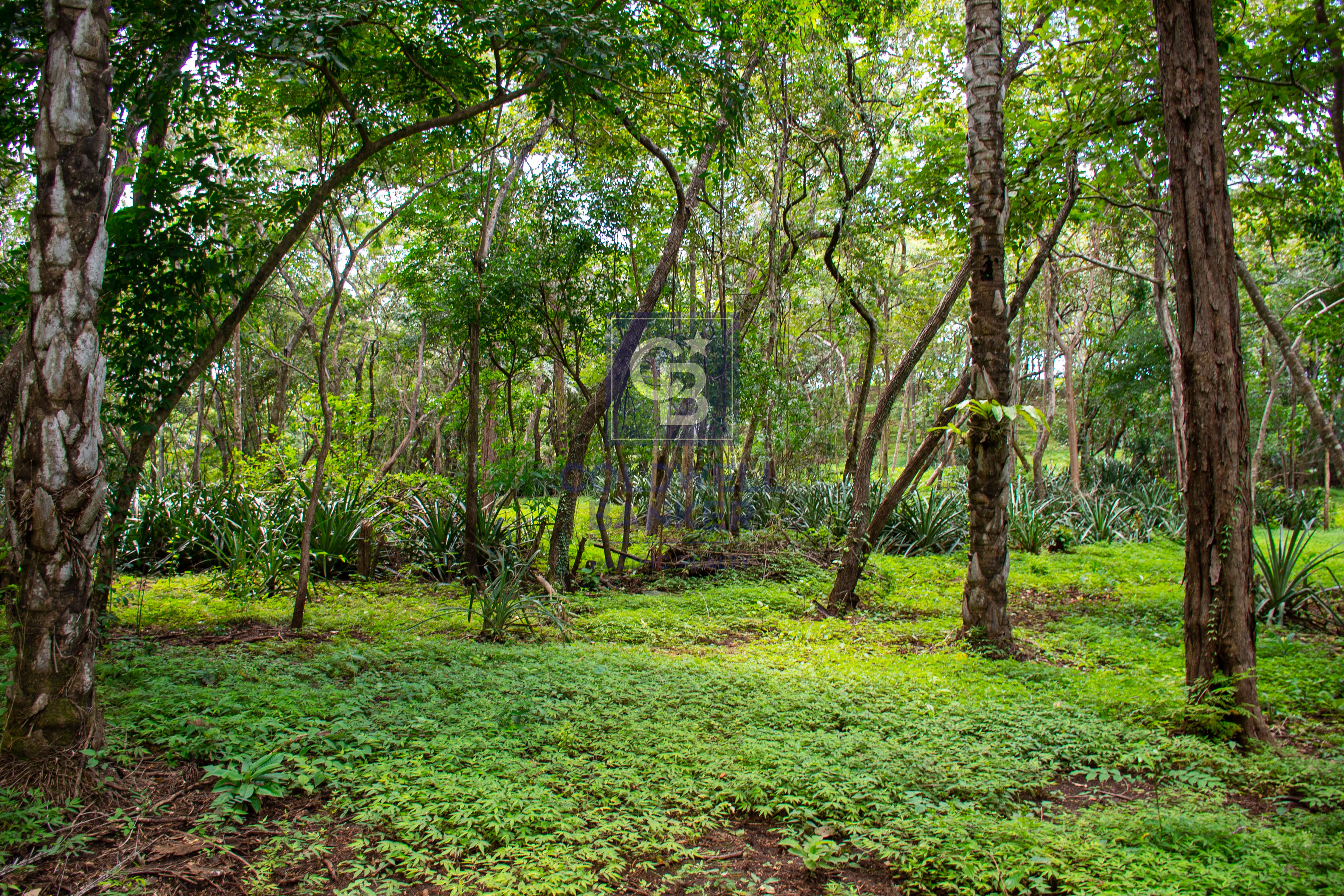 0 bed Land For Sale in Playa Negra, Guanacaste - thumb 13