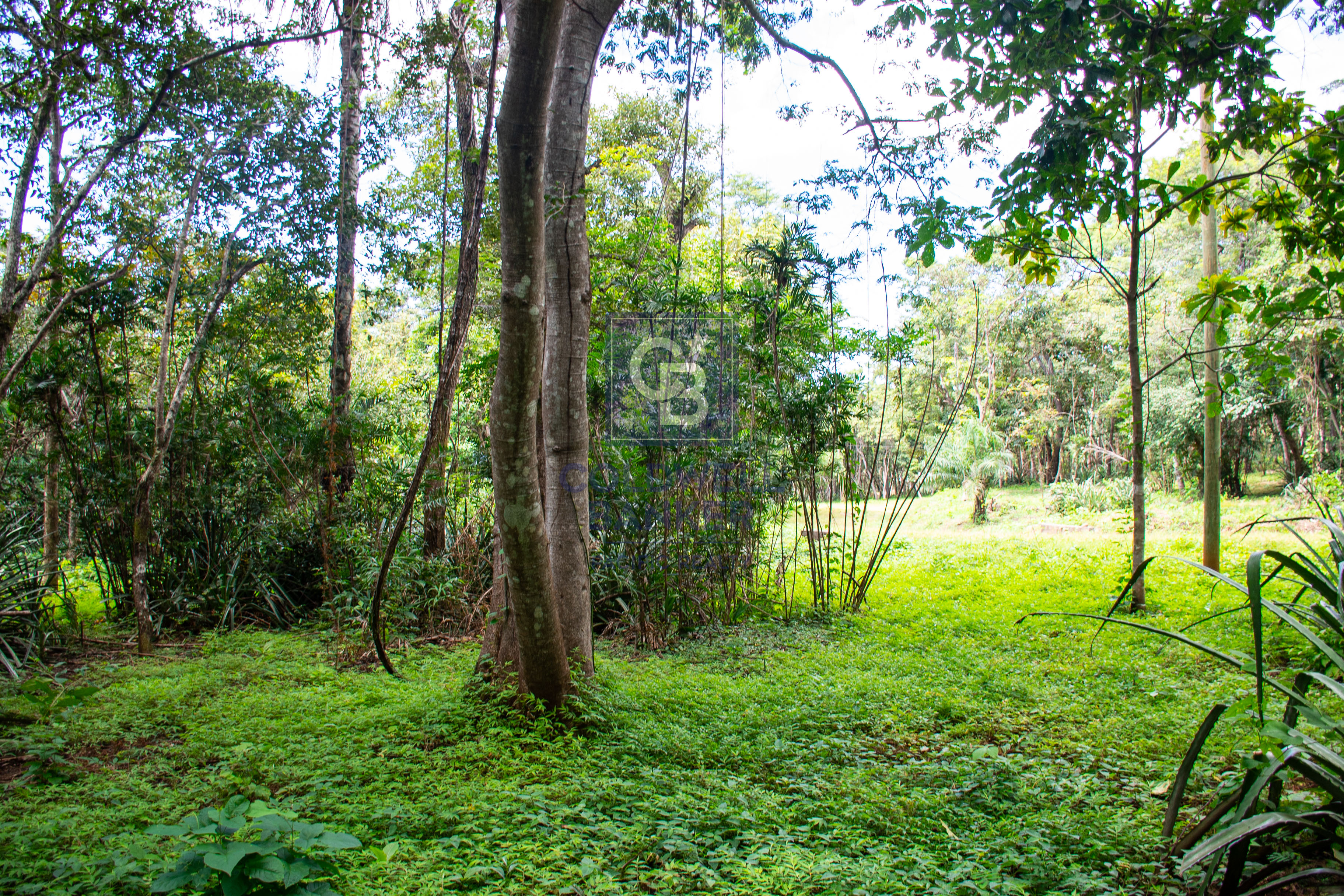 0 bed Land For Sale in Playa Negra, Guanacaste - thumb 11
