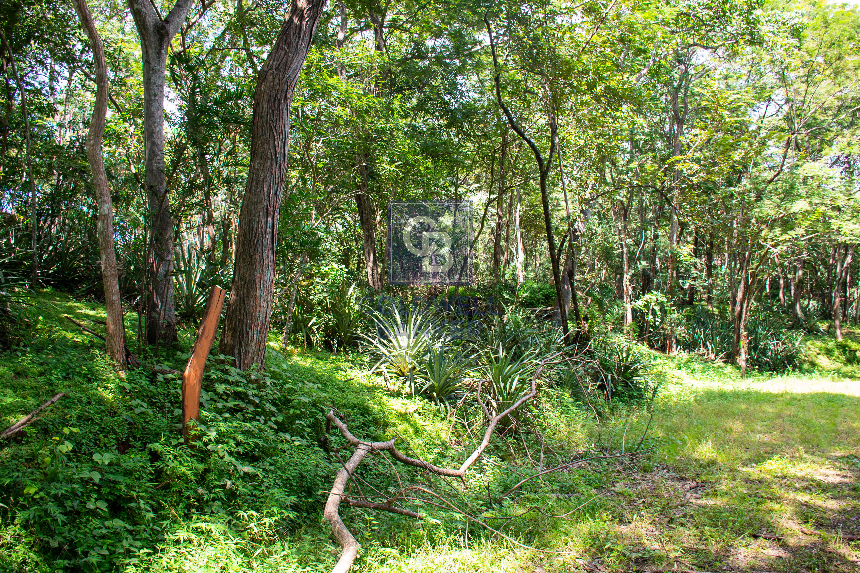 0 bed Land For Sale in Playa Negra, Guanacaste - thumb 16