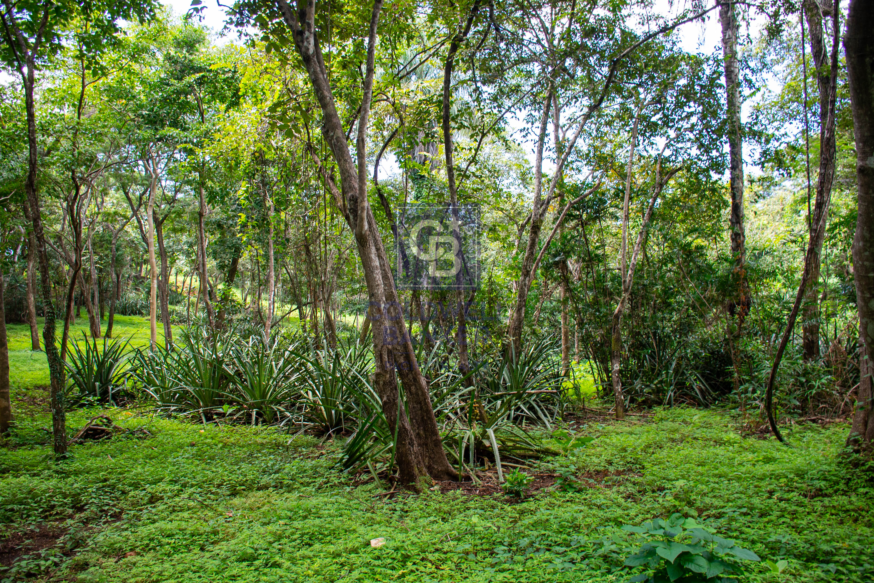 0 bed Land For Sale in Playa Negra, Guanacaste - thumb 12
