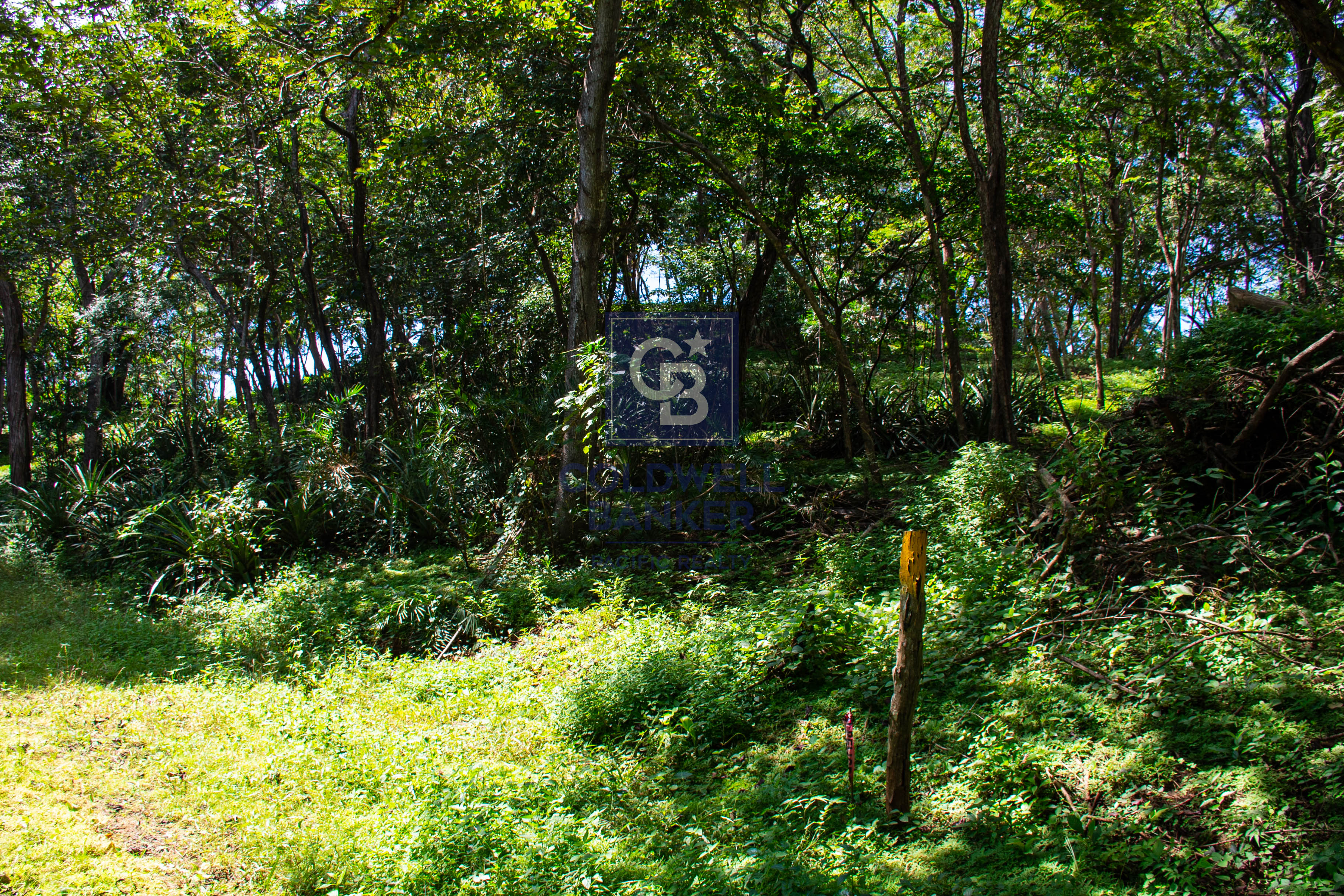 0 bed Land For Sale in Playa Negra, Guanacaste - thumb 9