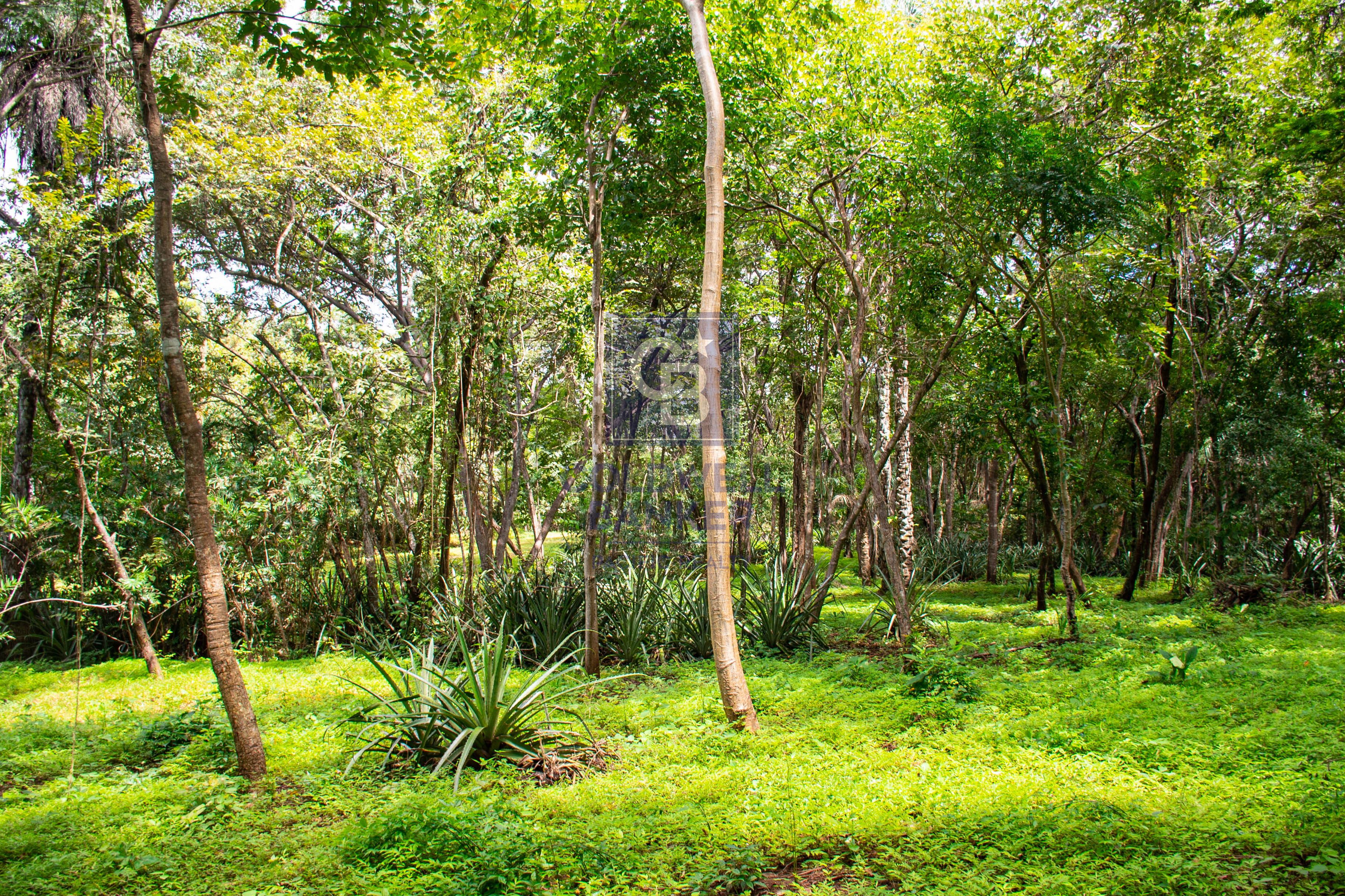 0 bed Land For Sale in Playa Negra, Guanacaste - thumb 7