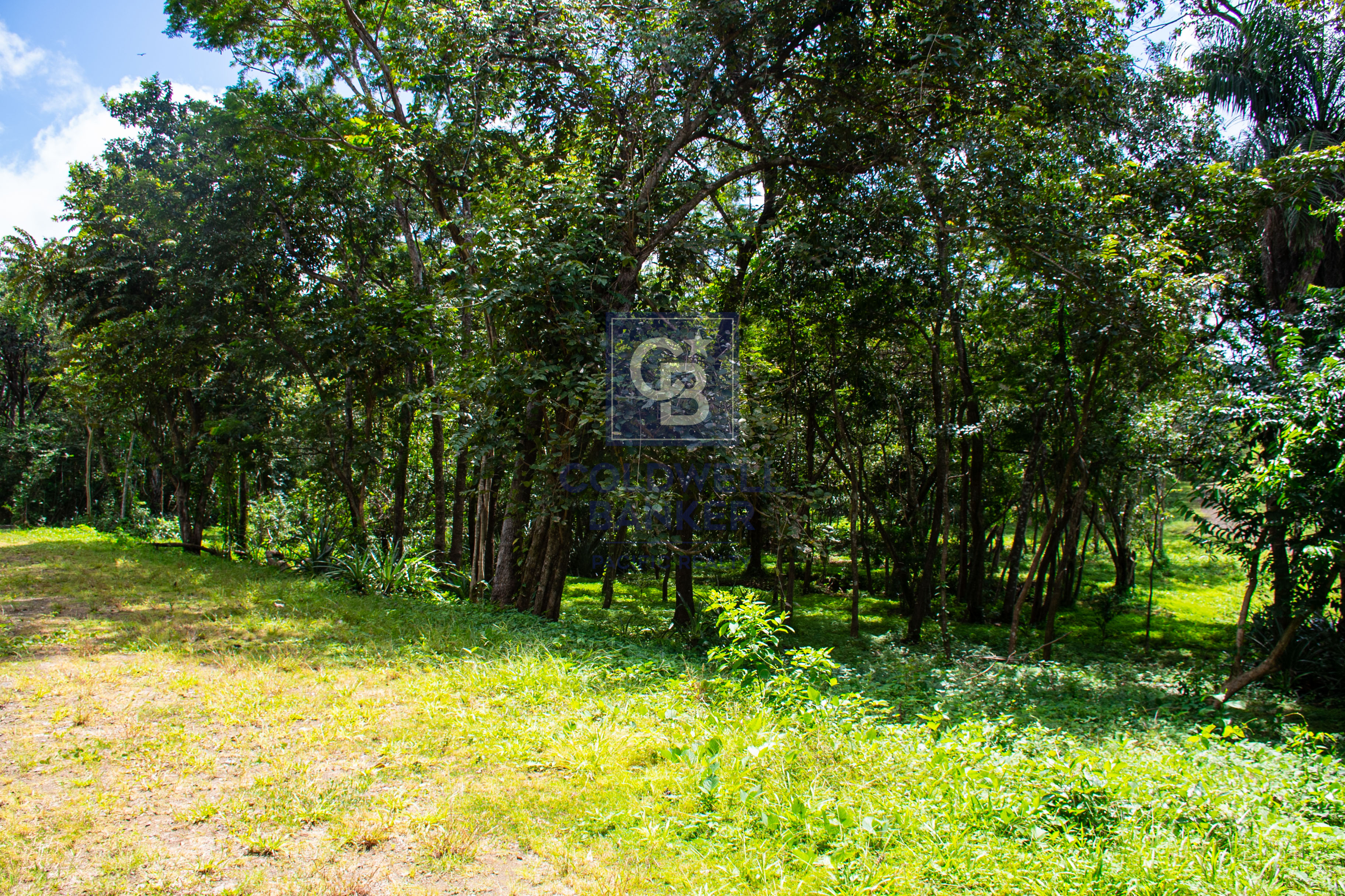 0 bed Land For Sale in Playa Negra, Guanacaste - thumb 8