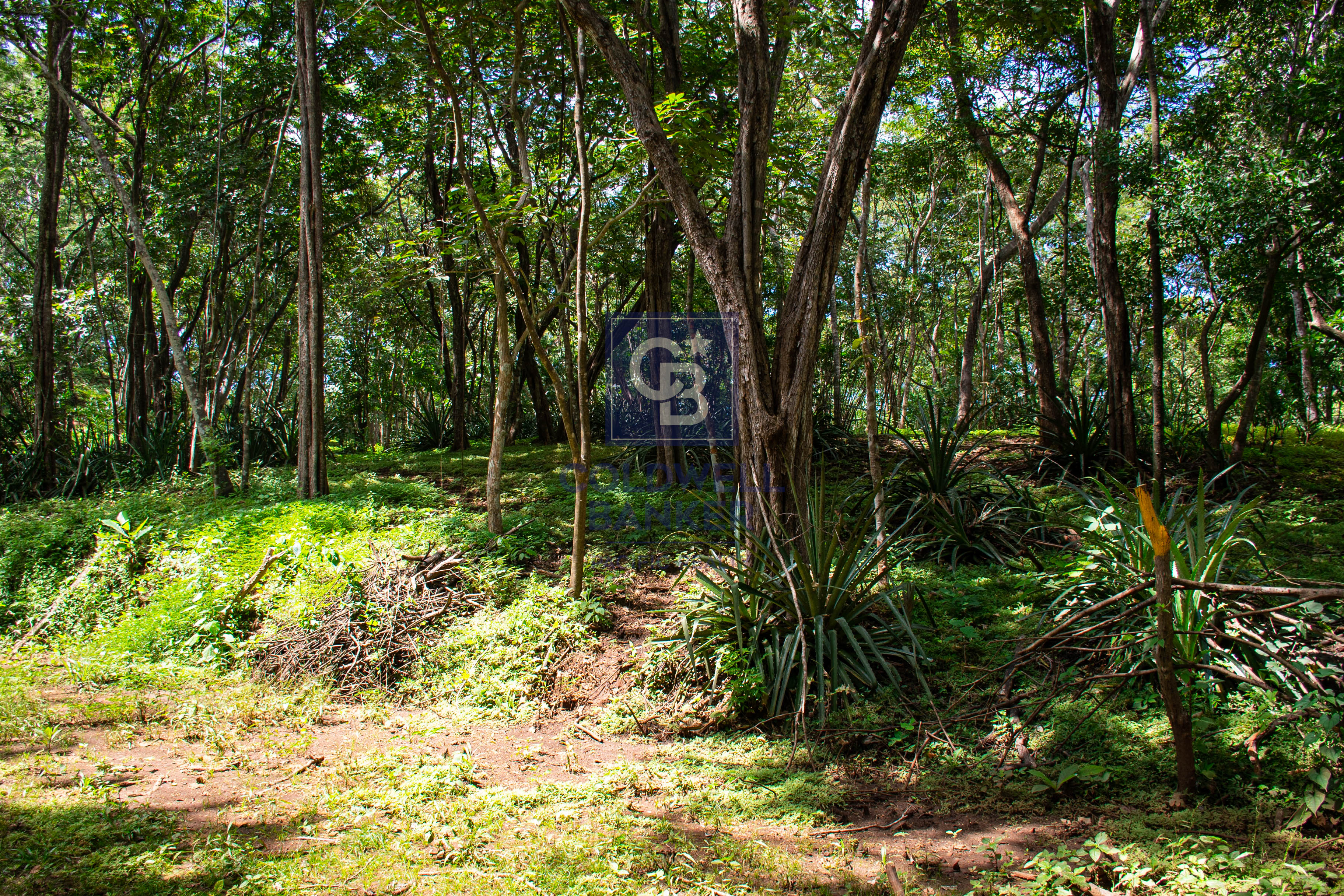 0 bed Land For Sale in Playa Negra, Guanacaste - thumb 9