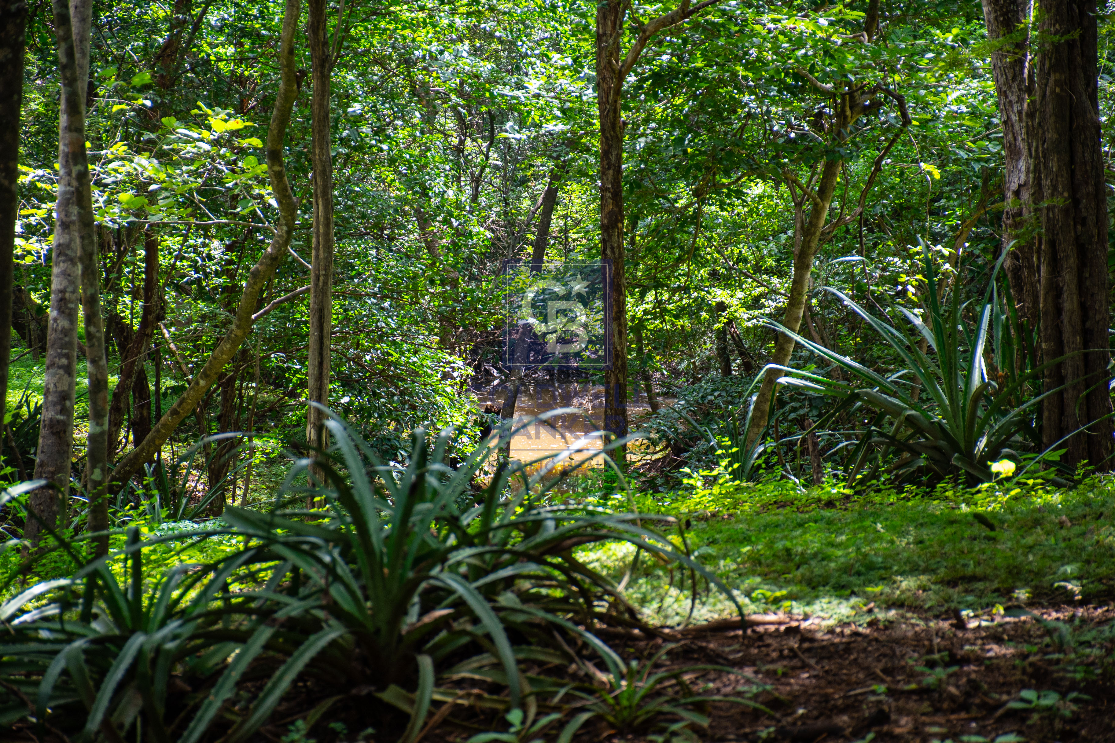 0 bed Land For Sale in Playa Negra, Guanacaste - thumb 10