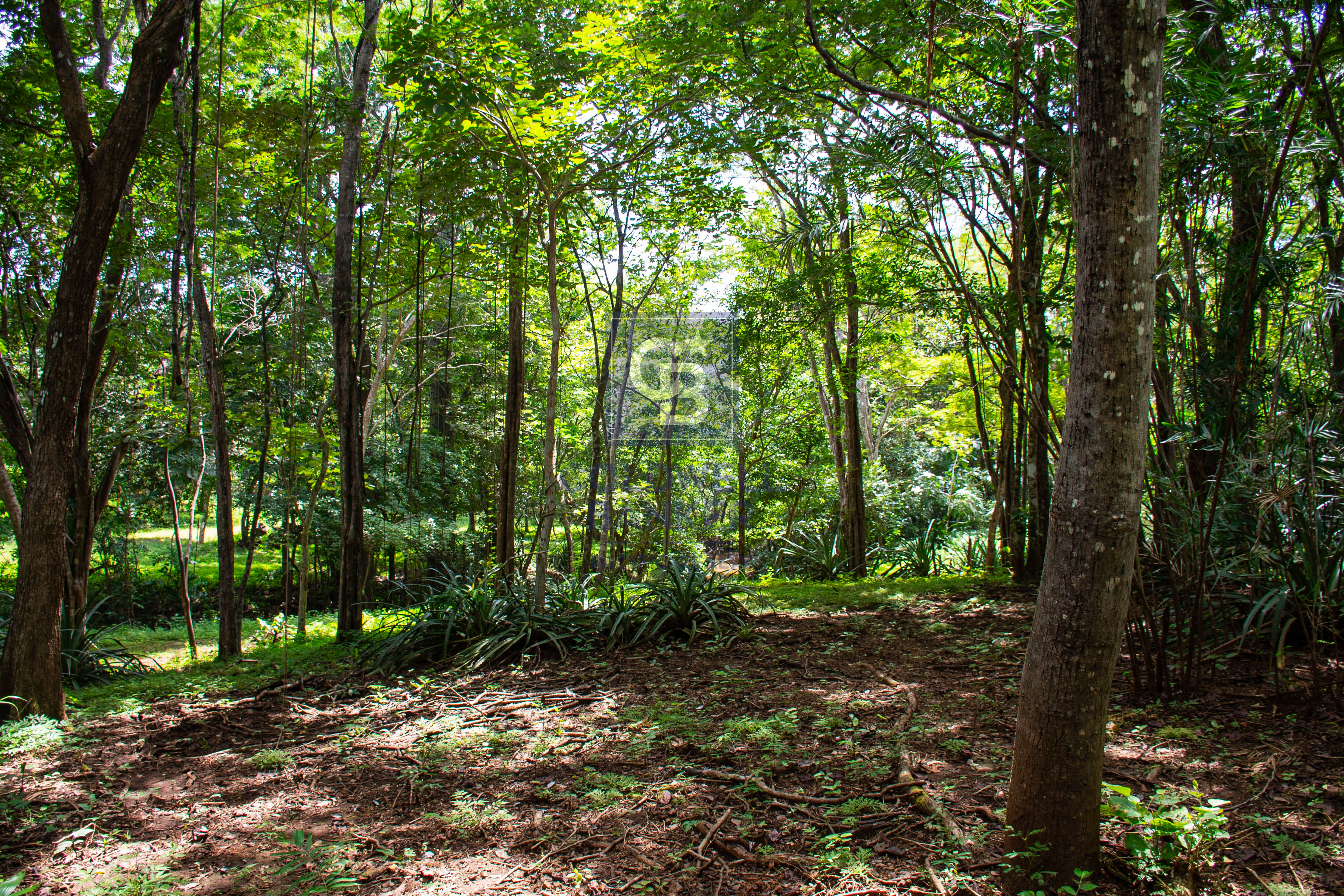 0 bed Land For Sale in Playa Negra, Guanacaste - thumb 13