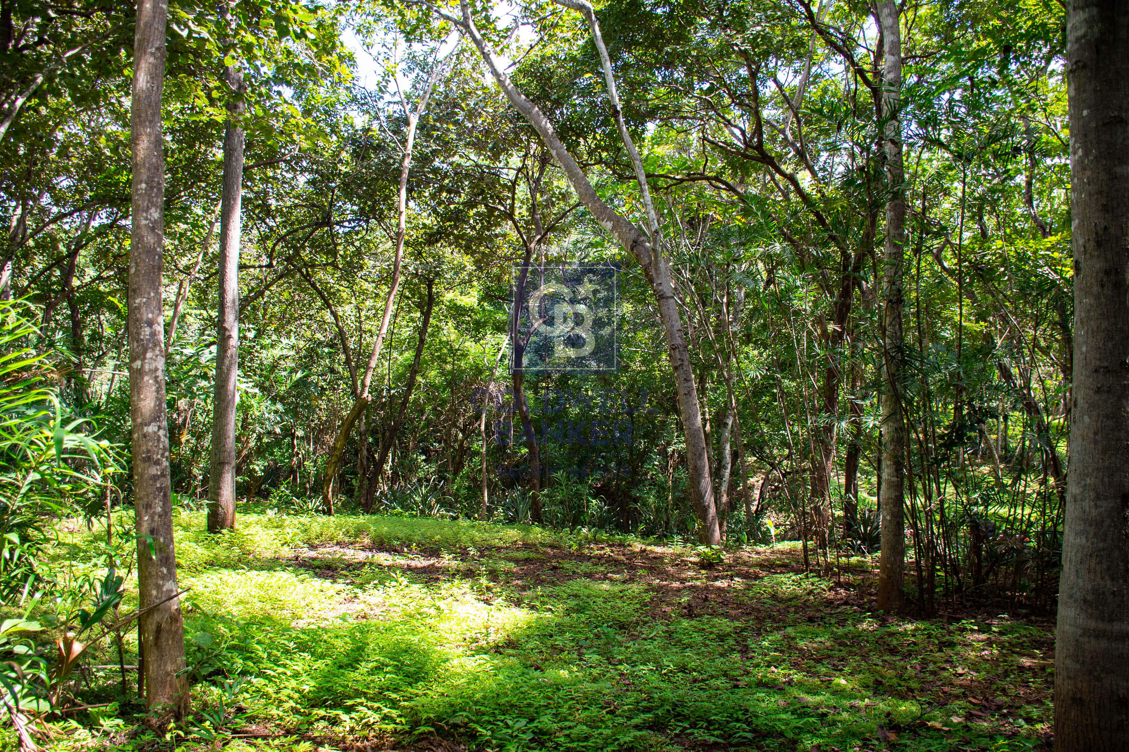 0 bed Land For Sale in Playa Negra, Guanacaste - thumb 11