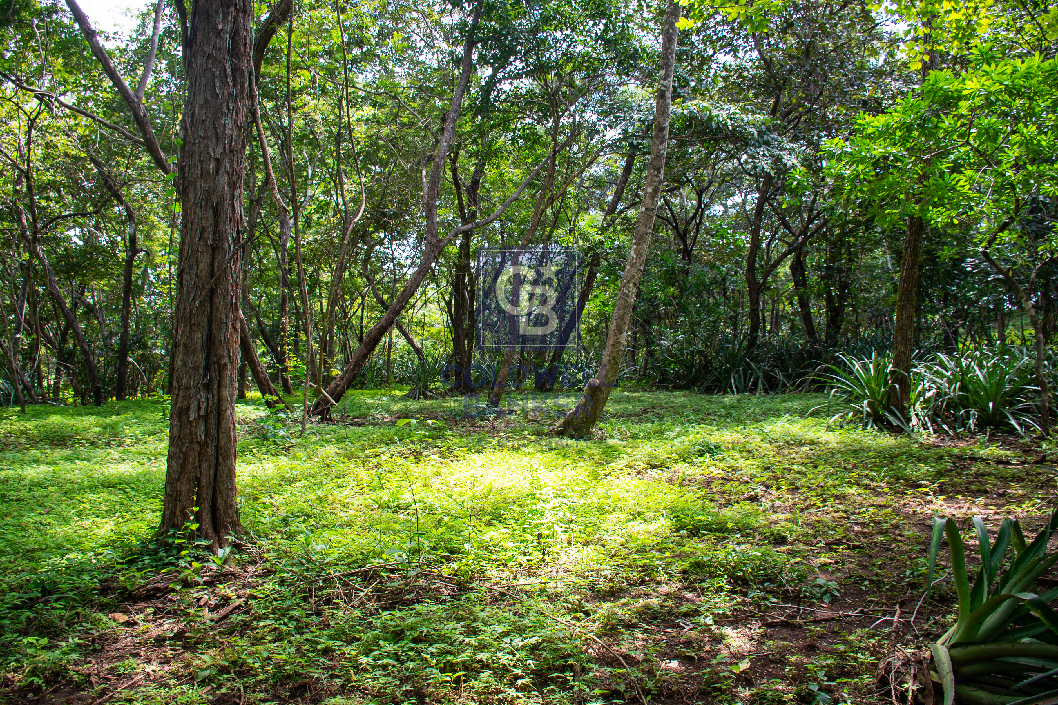 0 bed Land For Sale in Playa Negra, Guanacaste - thumb 12