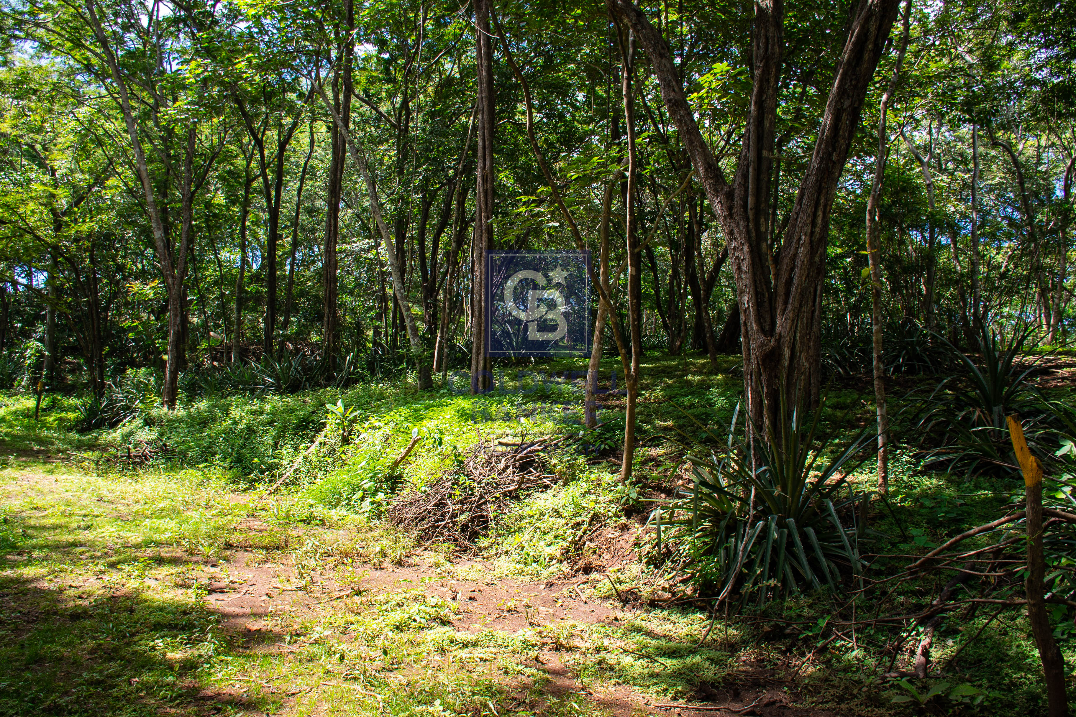 0 bed Land For Sale in Playa Negra, Guanacaste - thumb 14