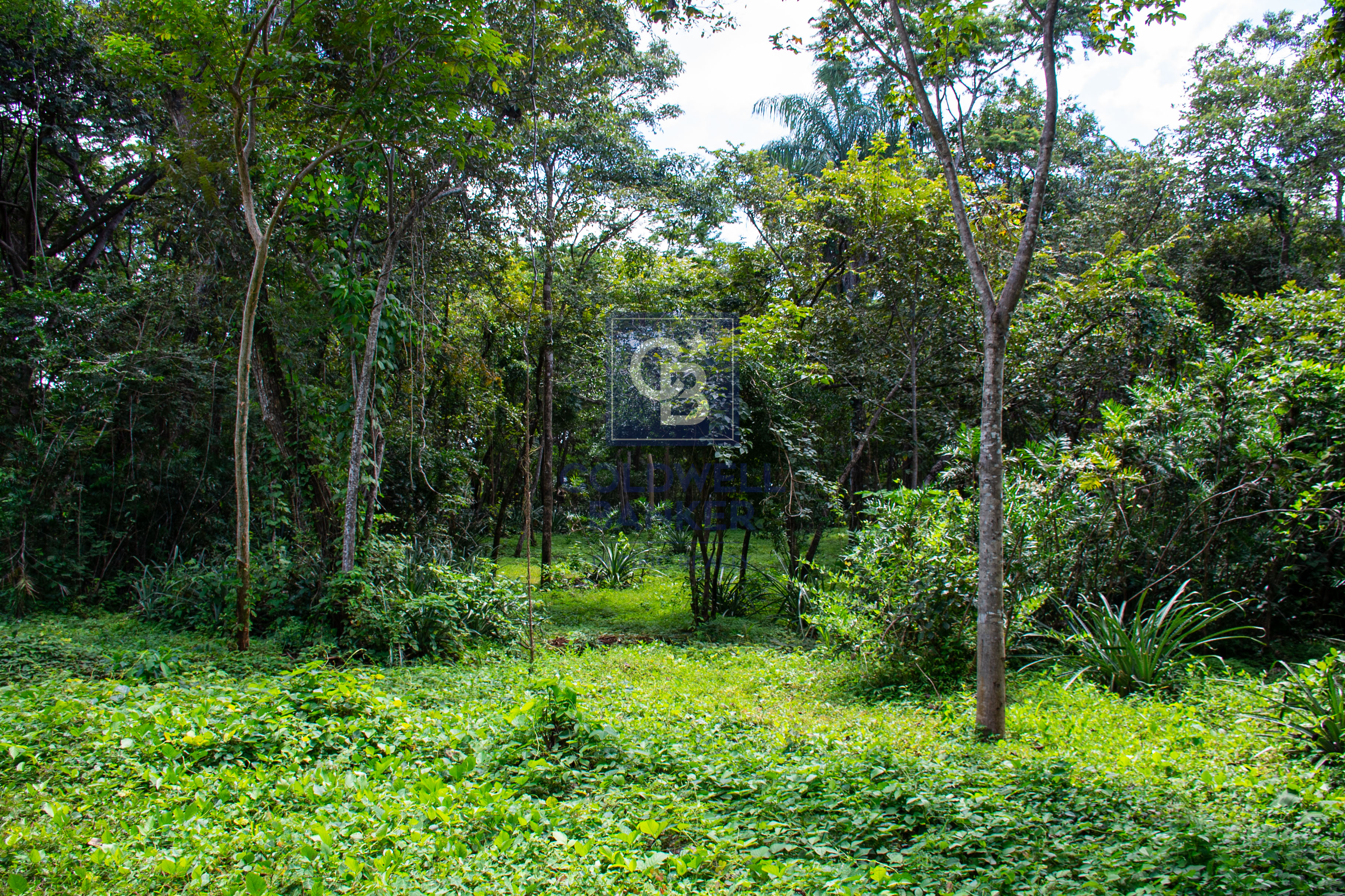 0 bed Land For Sale in Playa Negra, Guanacaste - thumb 1