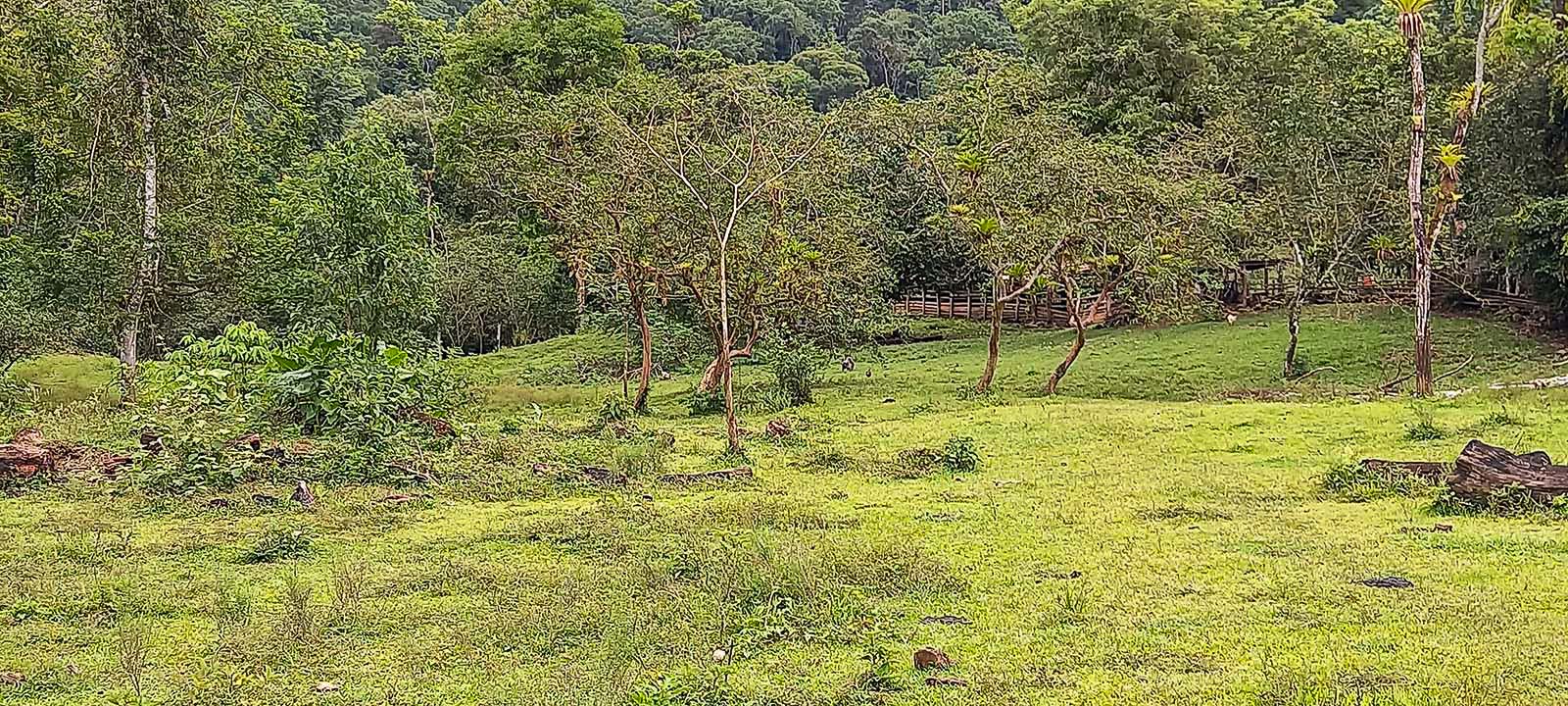 0 bed Land For Sale in Dominical, Puntarenas - thumb 11
