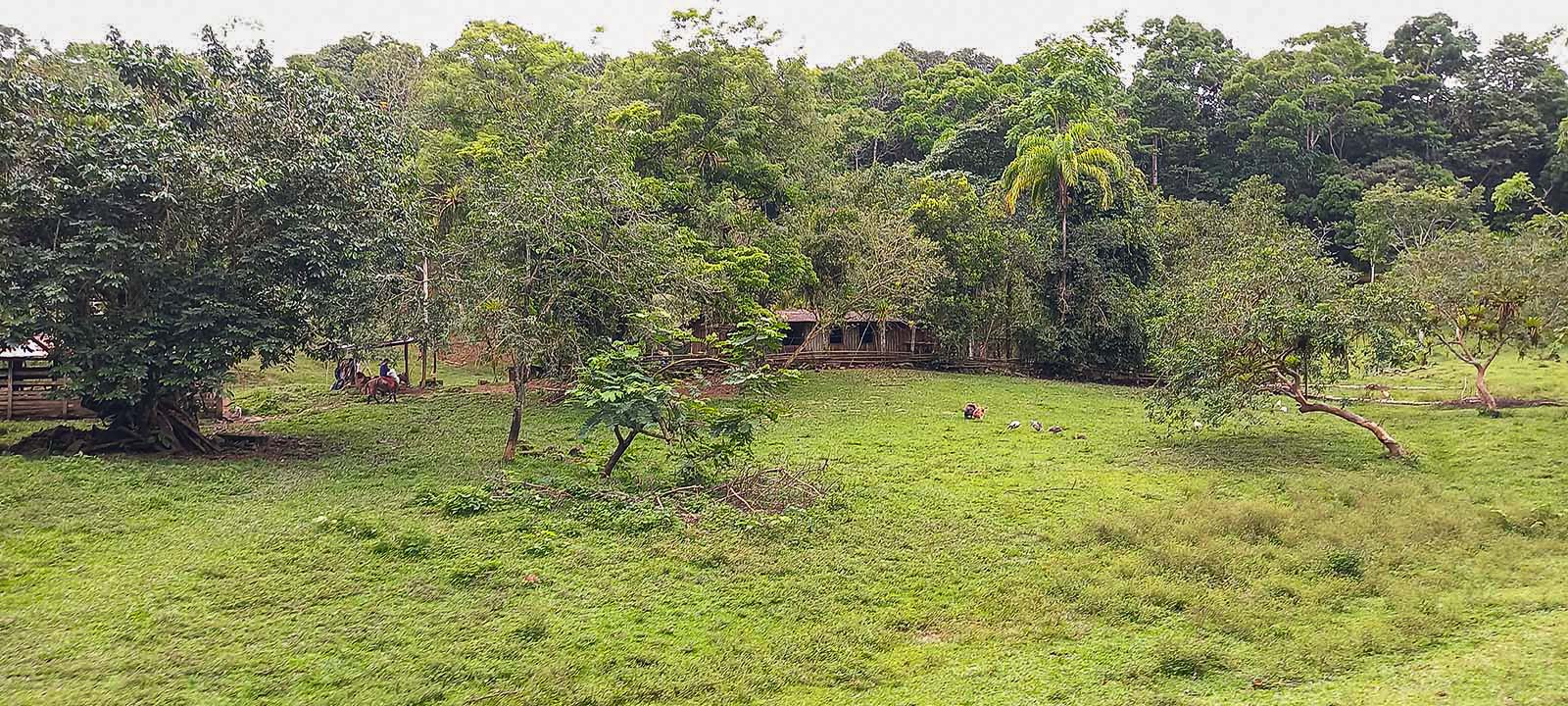 0 bed Land For Sale in Dominical, Puntarenas - thumb 3