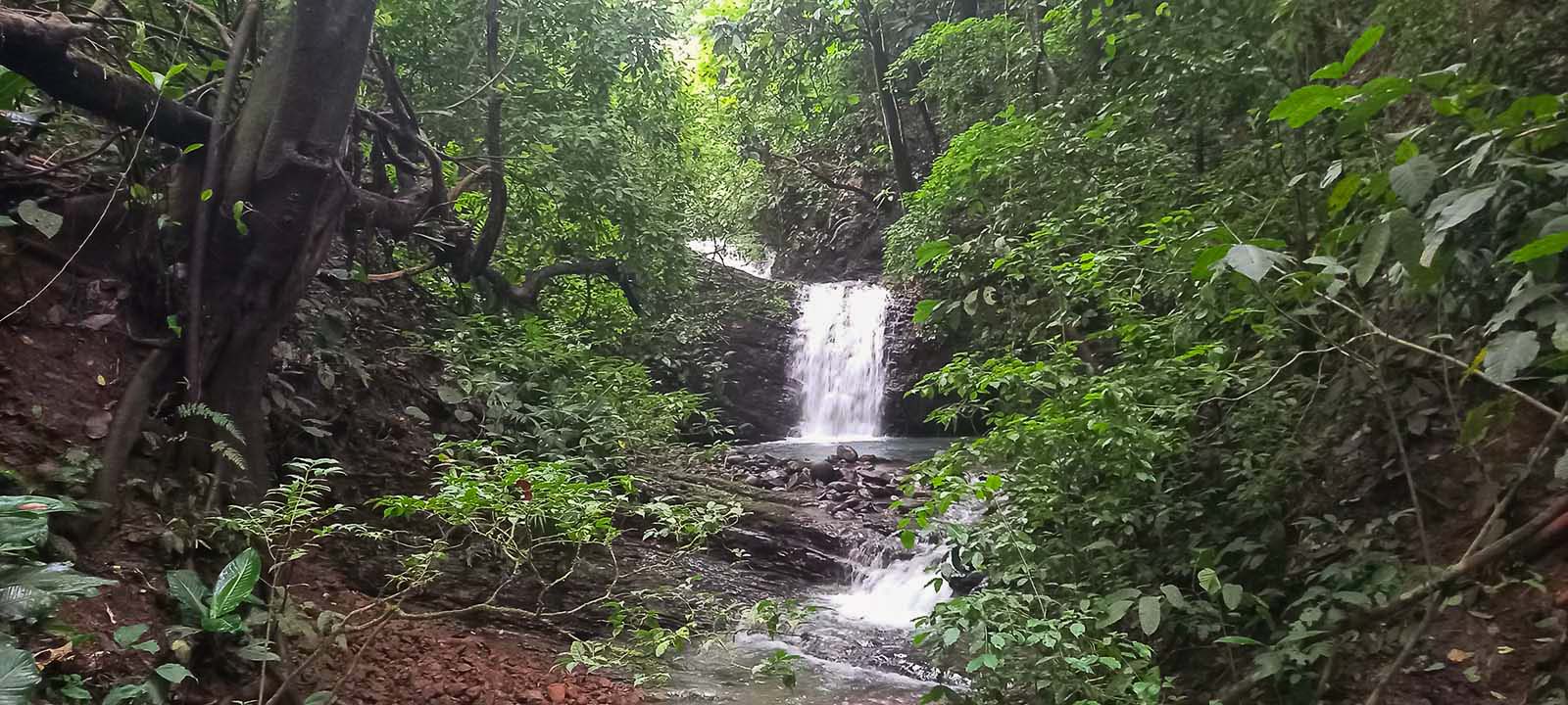 0 bed Land For Sale in Dominical, Puntarenas - thumb 13