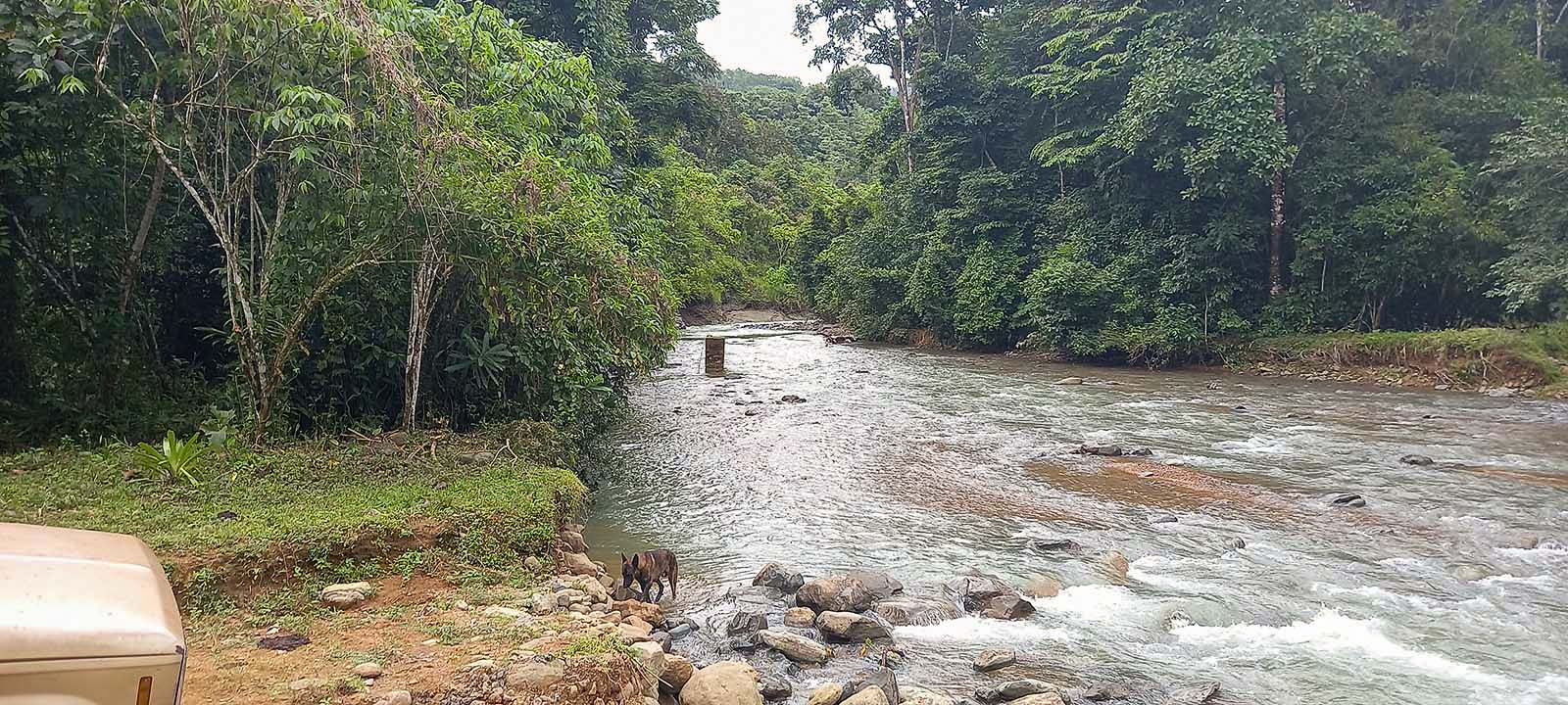 0 bed Land For Sale in Dominical, Puntarenas - thumb 20